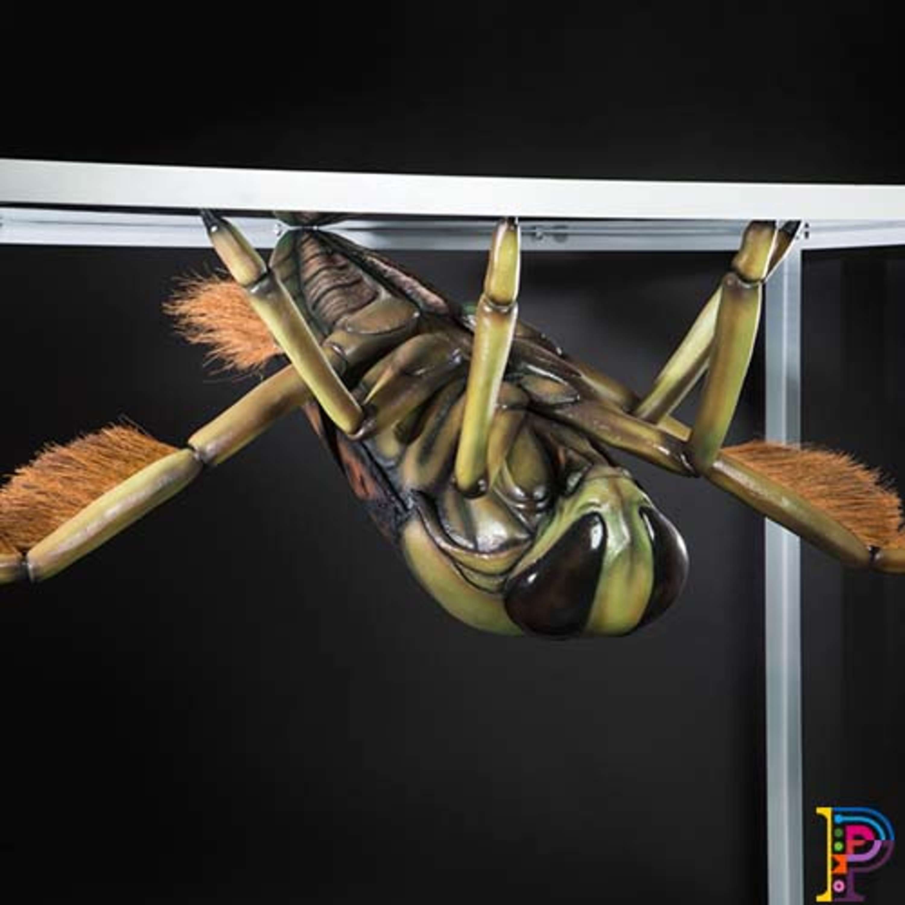 Big Bugs on Tour by Plunge Creations Limited