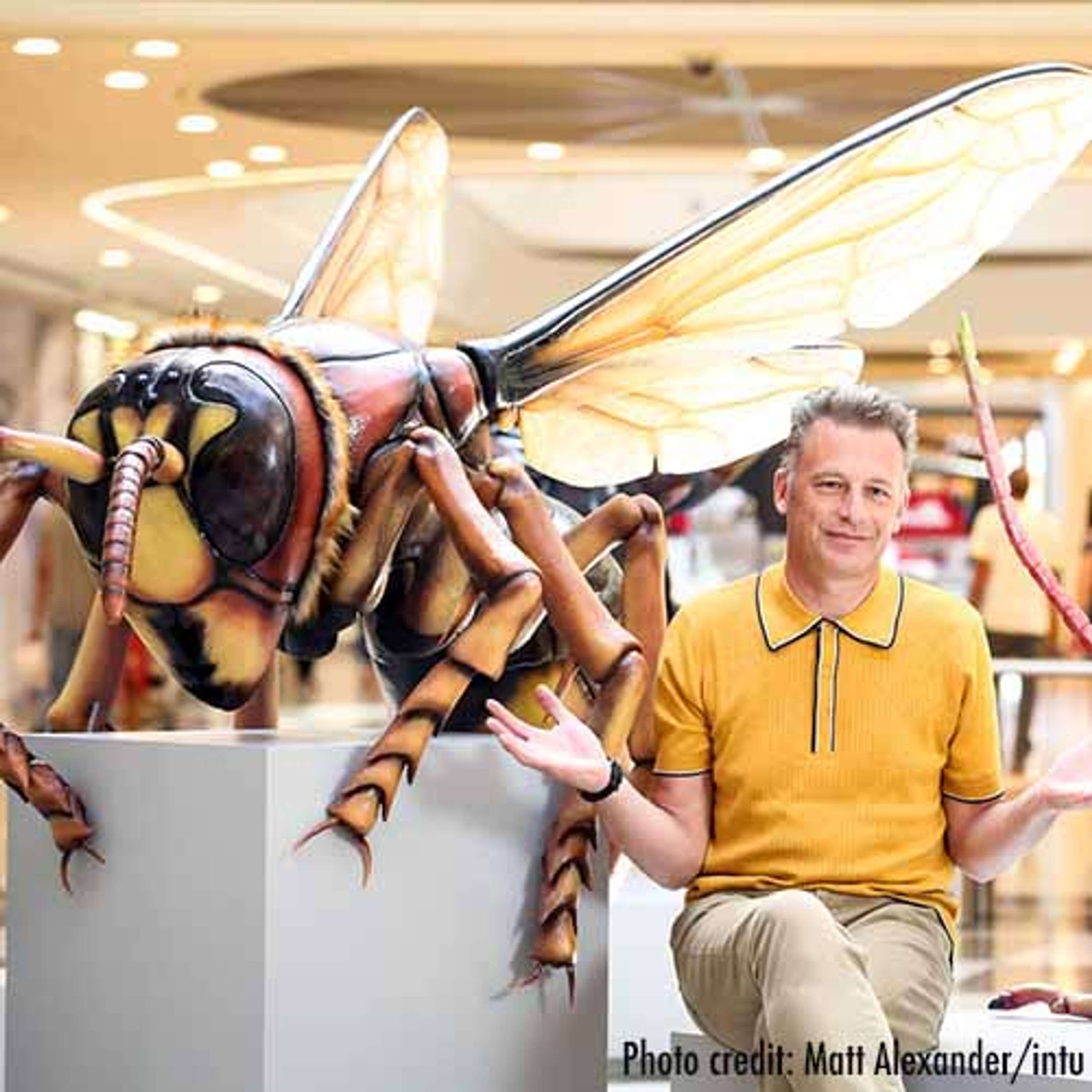 Big Bugs on Tour by Plunge Creations Limited