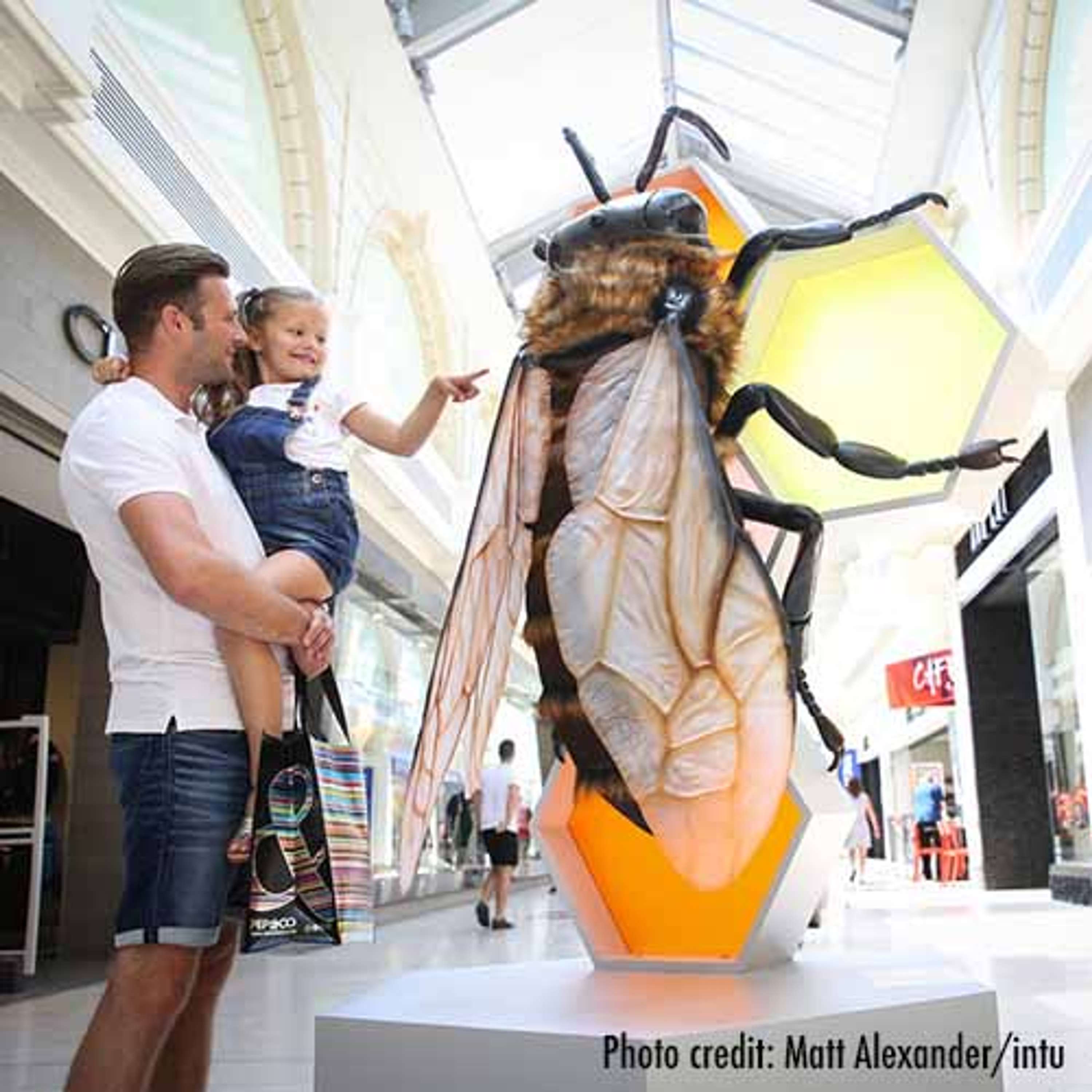 Big Bugs on Tour by Plunge Creations Limited