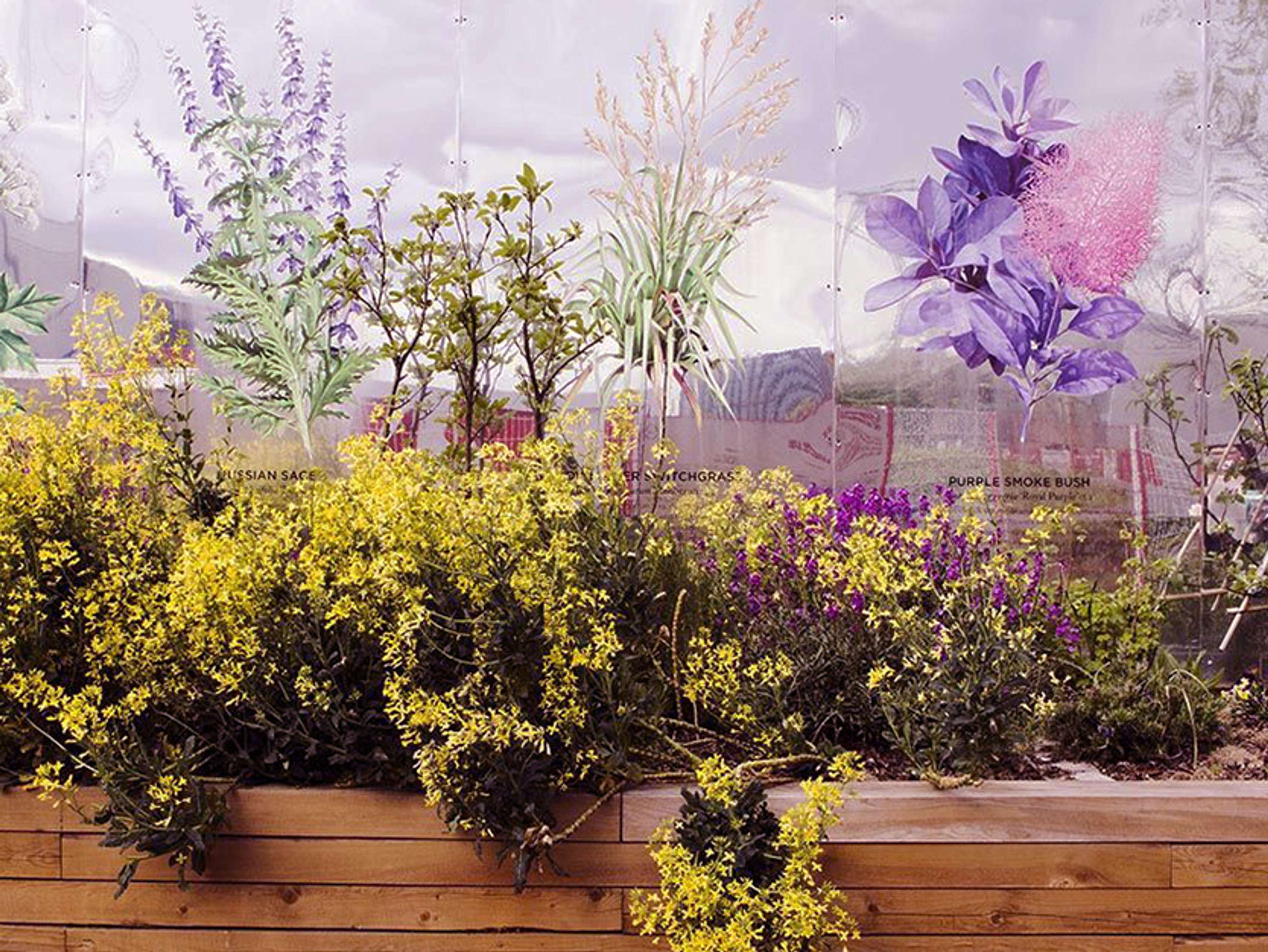 The Bee Trail App by Alastair Jones