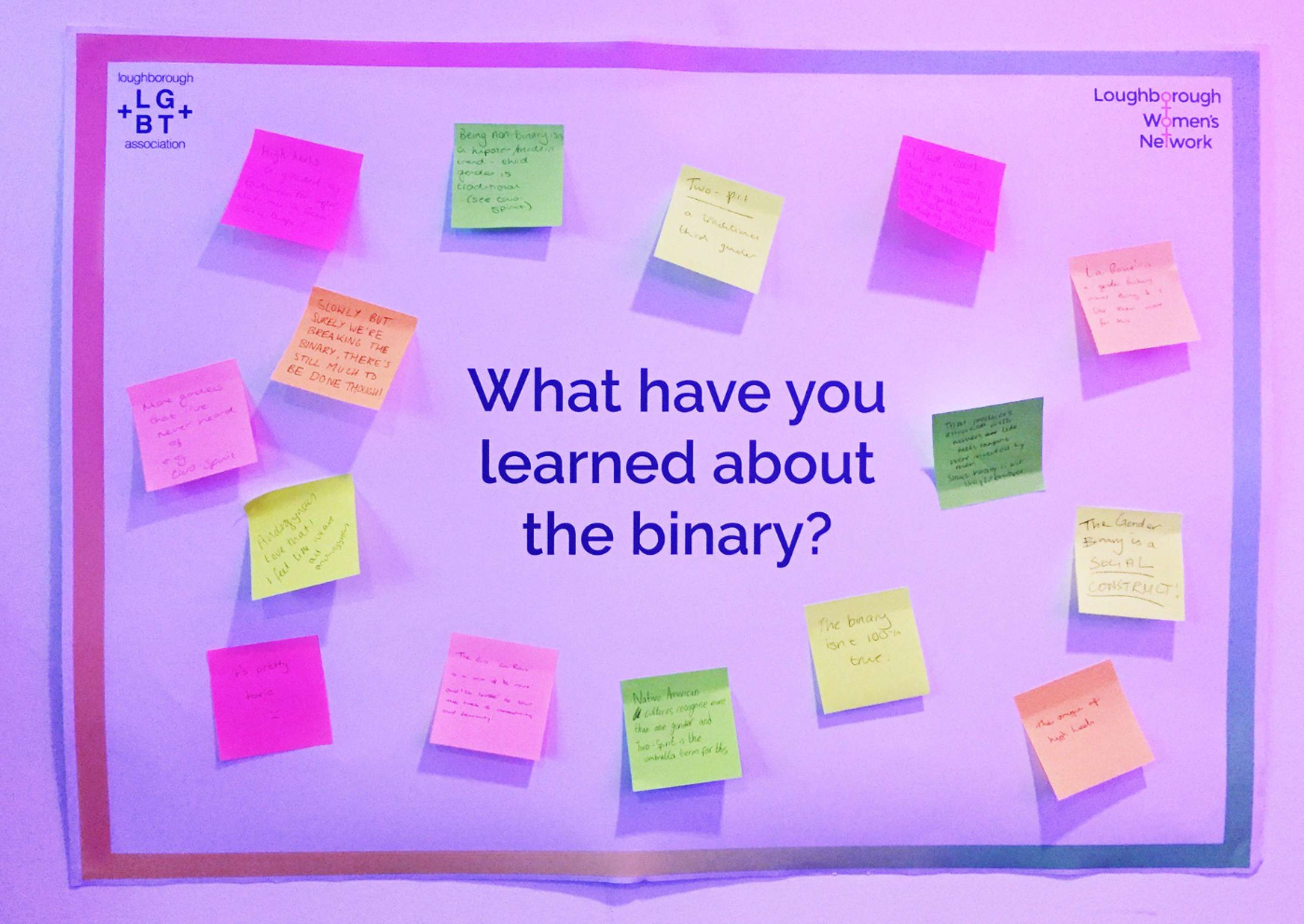 Breaking the Gender Binary by Tammy Saad