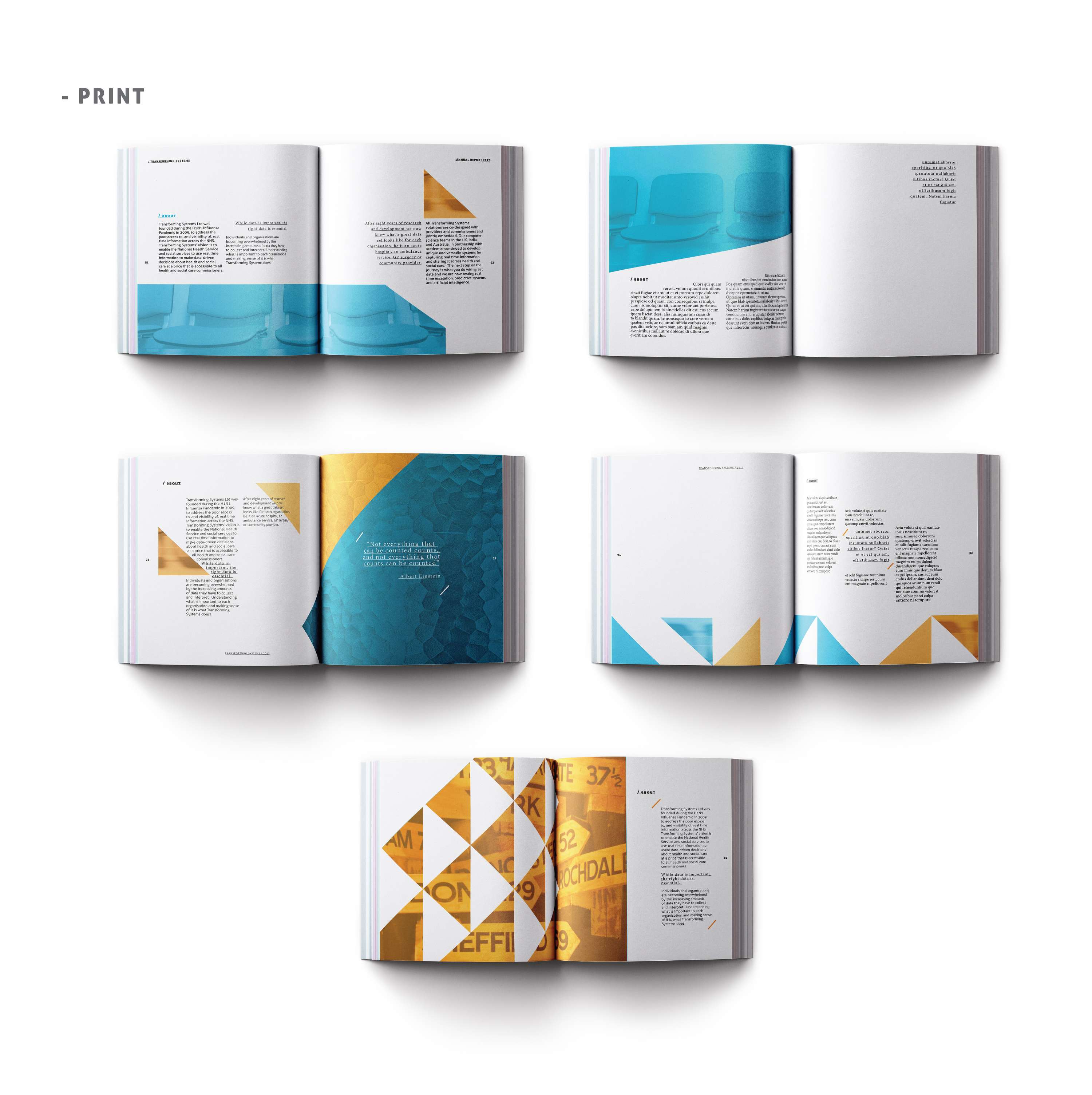 Transforming Systems by Eliza Miklasevica