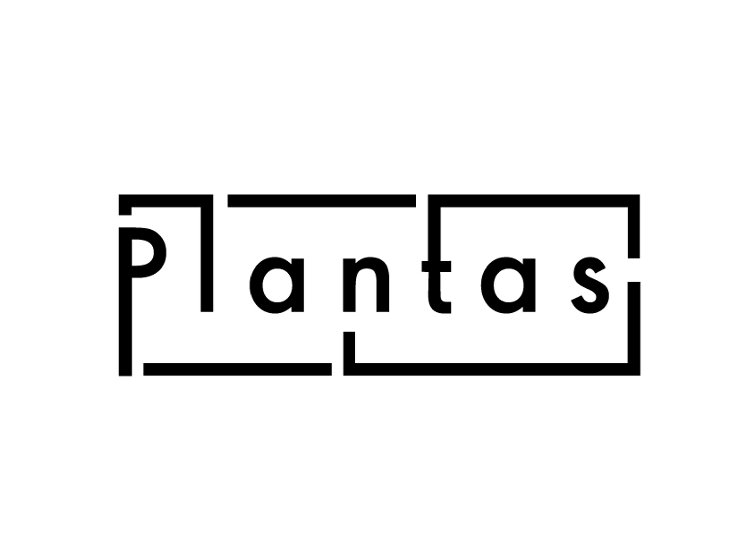 Startup Brand Identity by Camila Andrade