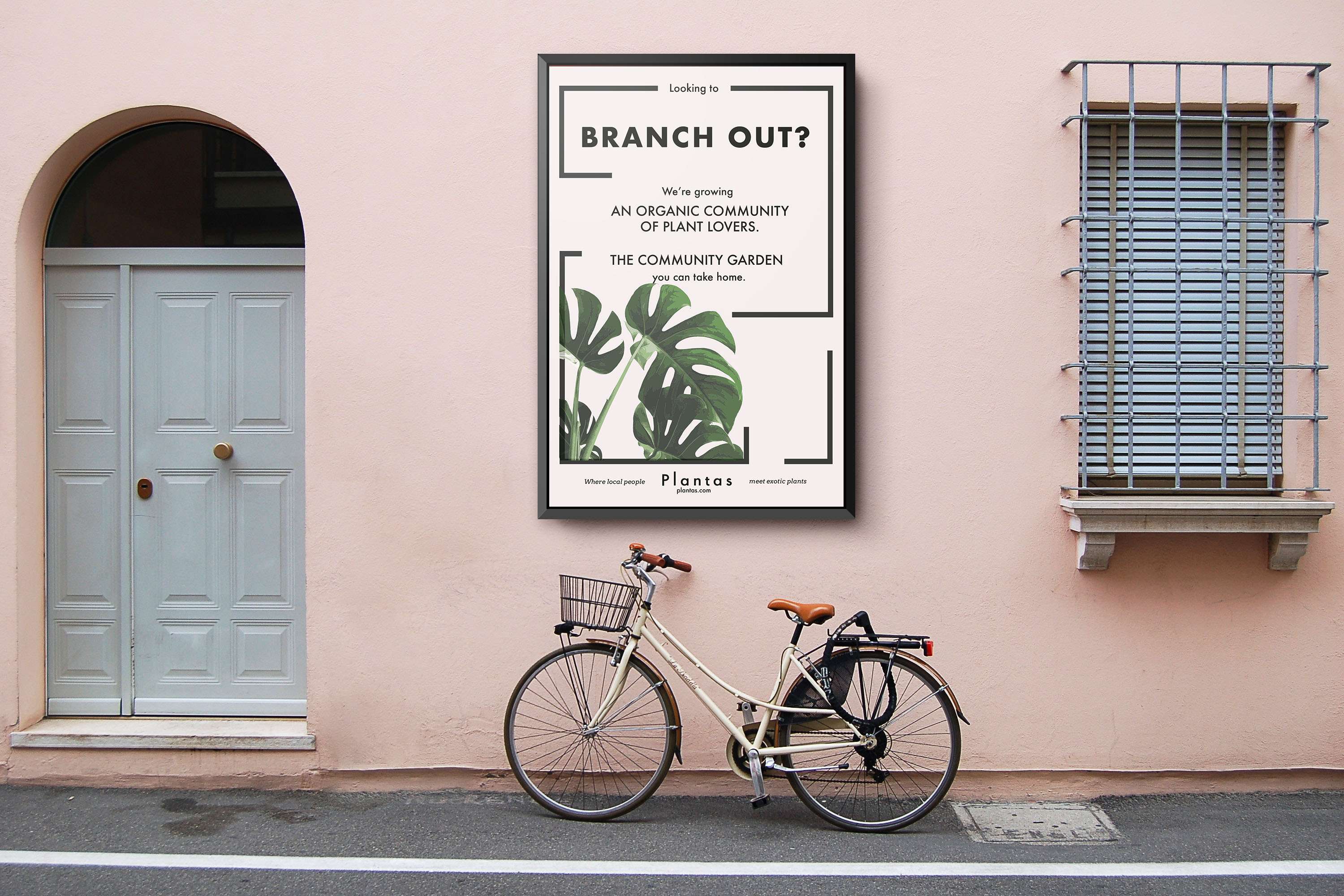 Startup Brand Identity by Camila Andrade