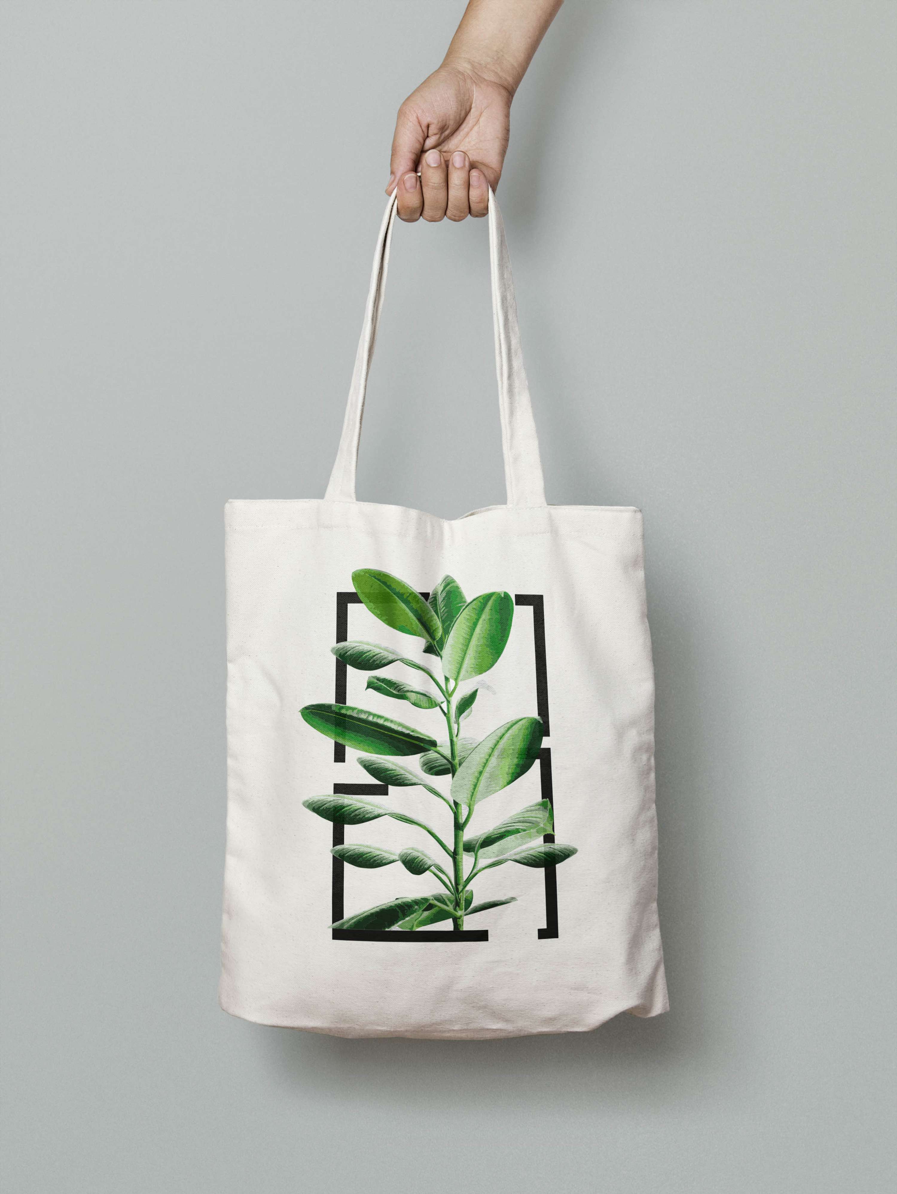 Startup Brand Identity by Camila Andrade
