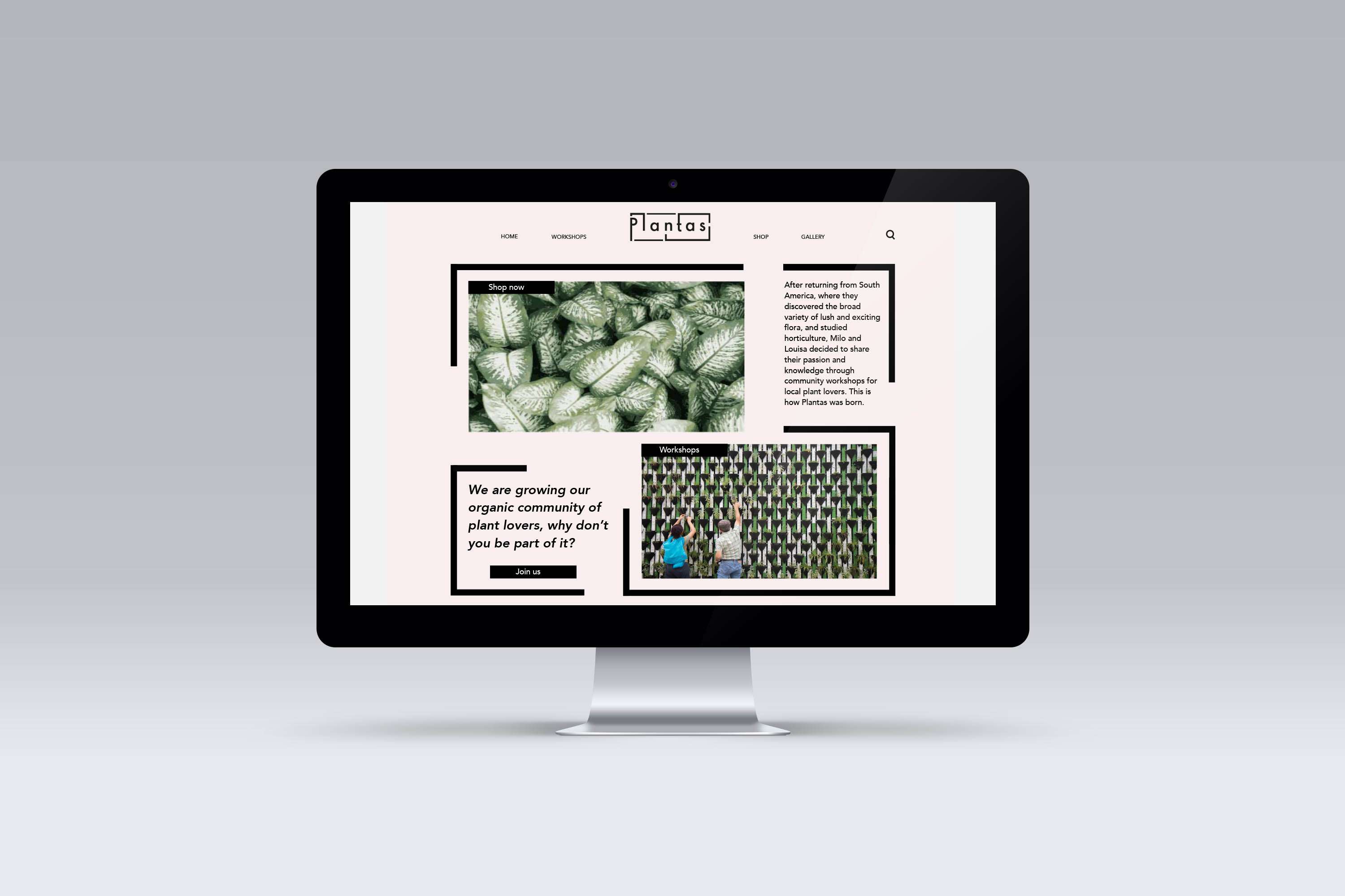 Startup Brand Identity by Camila Andrade
