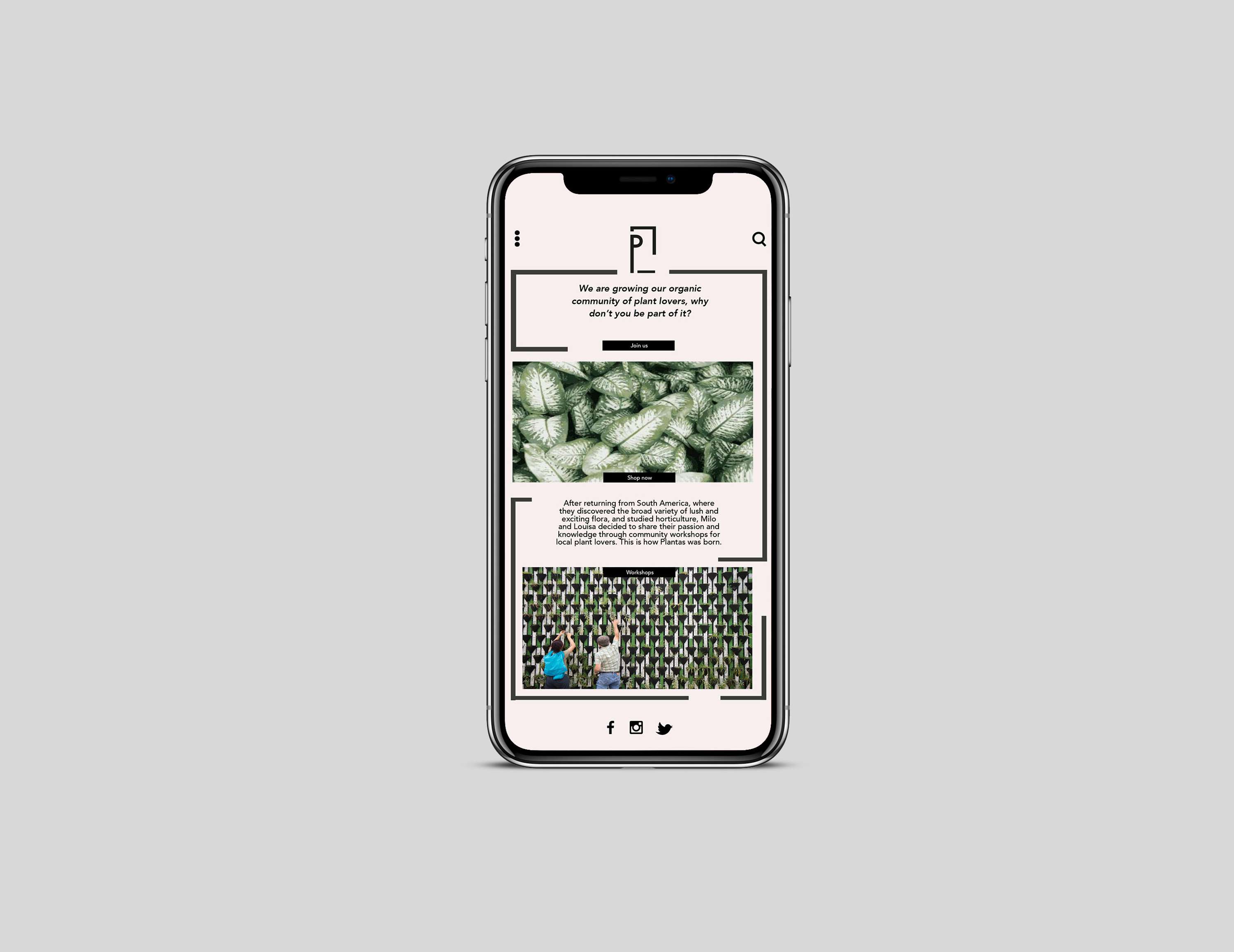 Startup Brand Identity by Camila Andrade