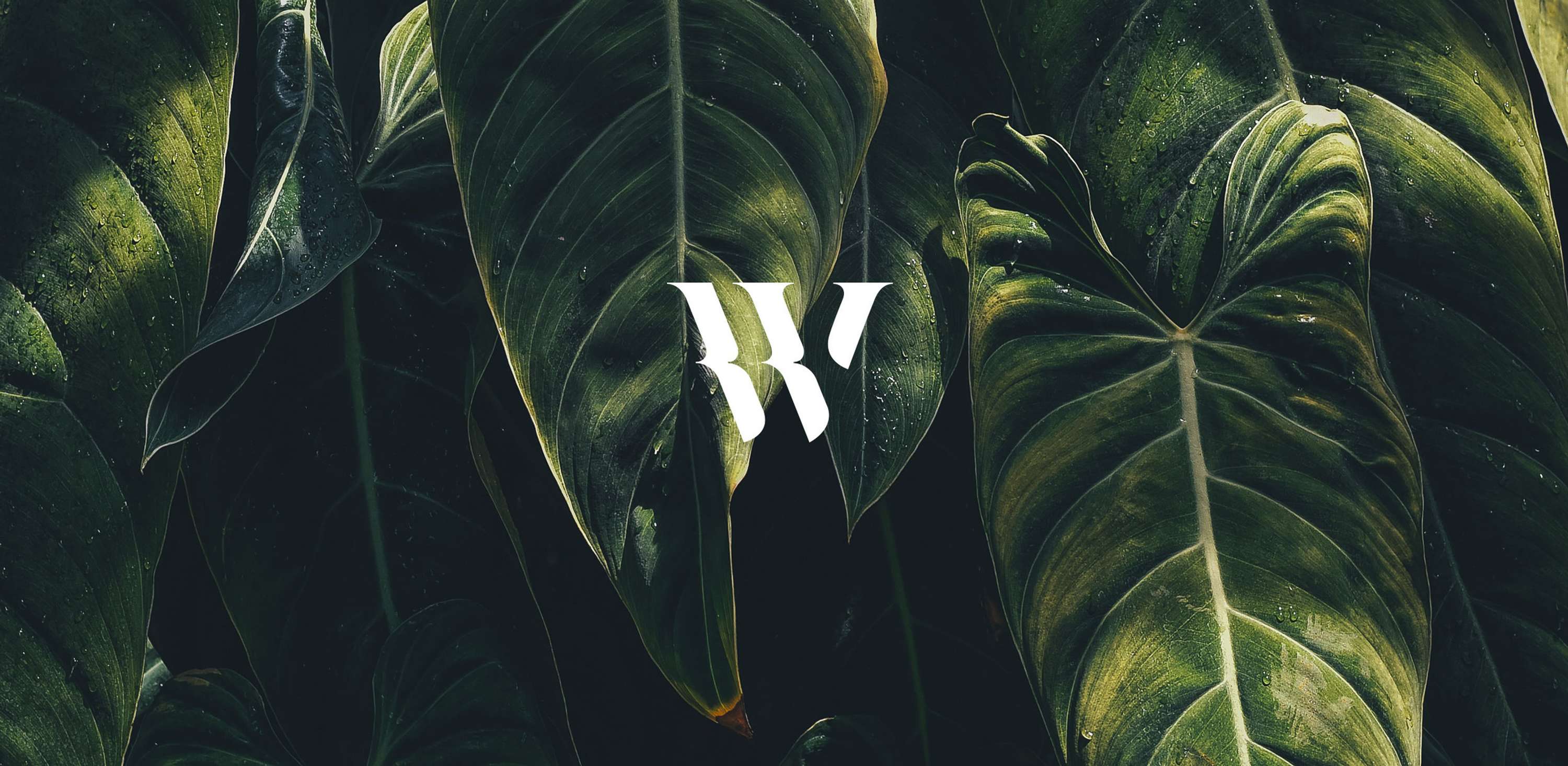 WYLDE by Max Crame