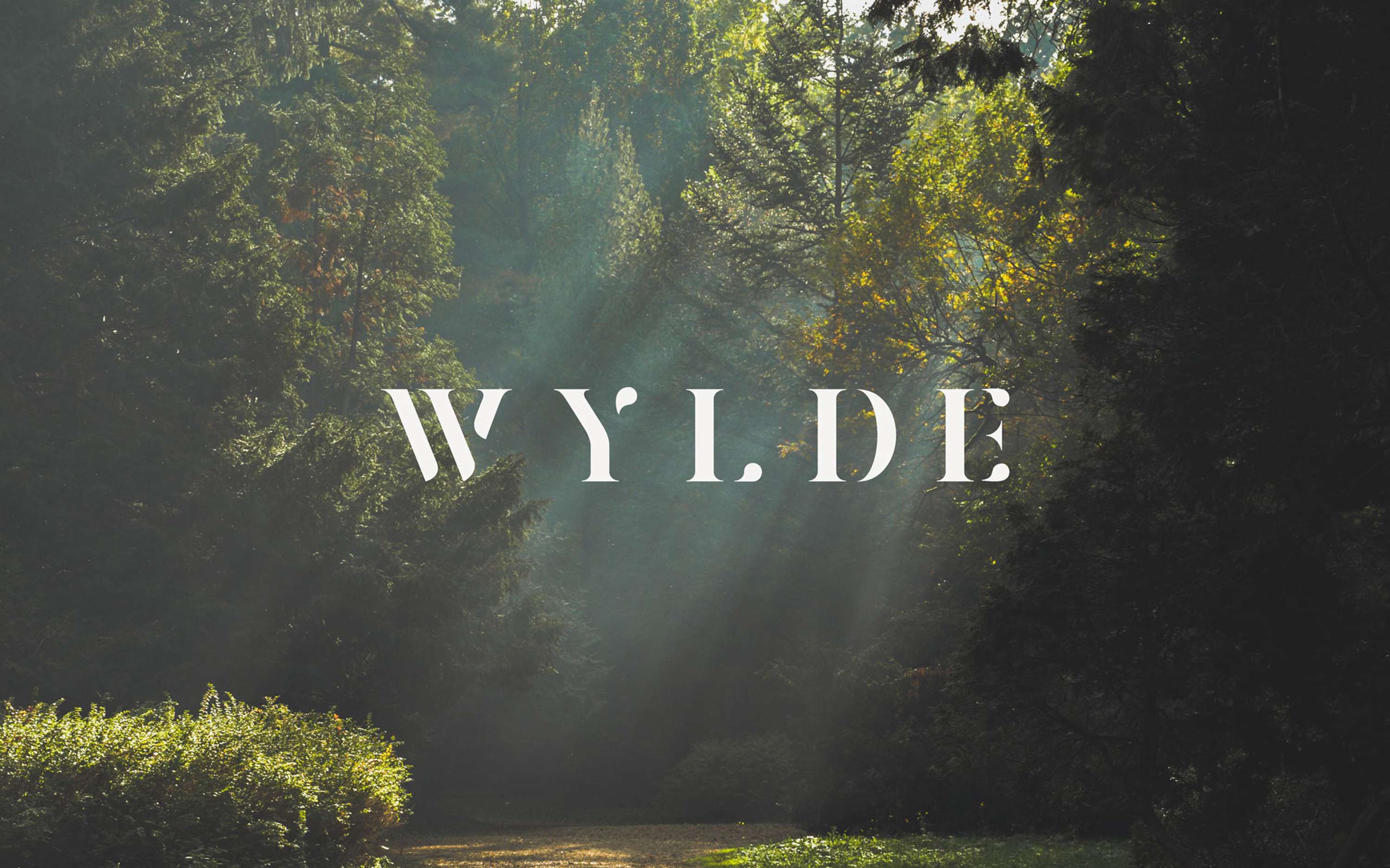 WYLDE by Max Crame