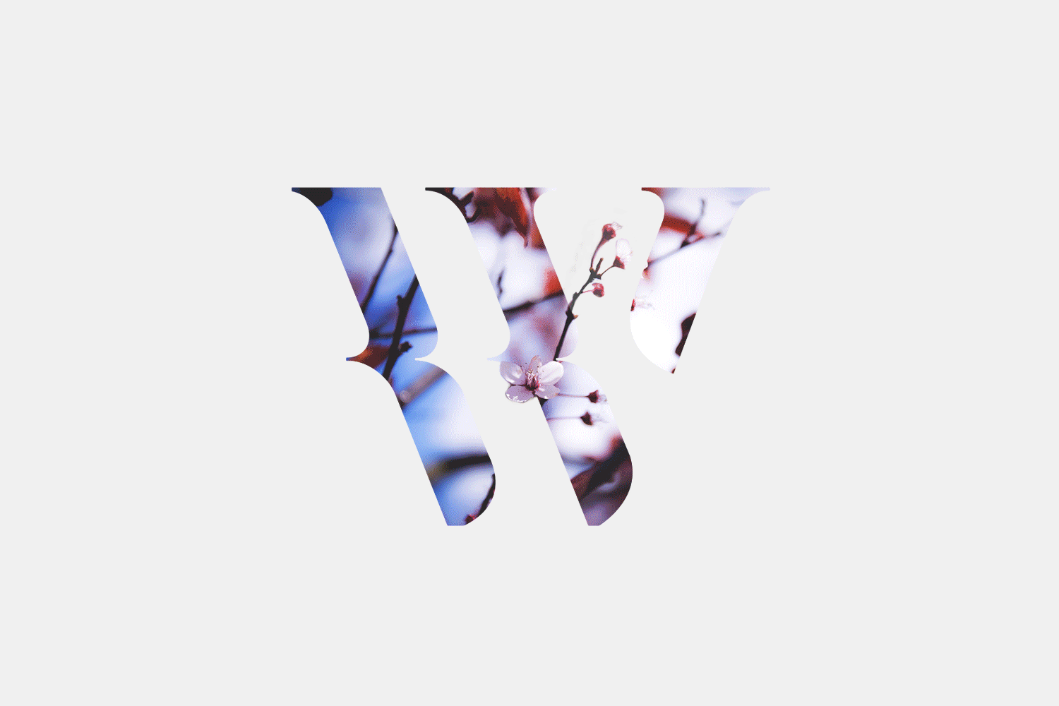 WYLDE by Max Crame