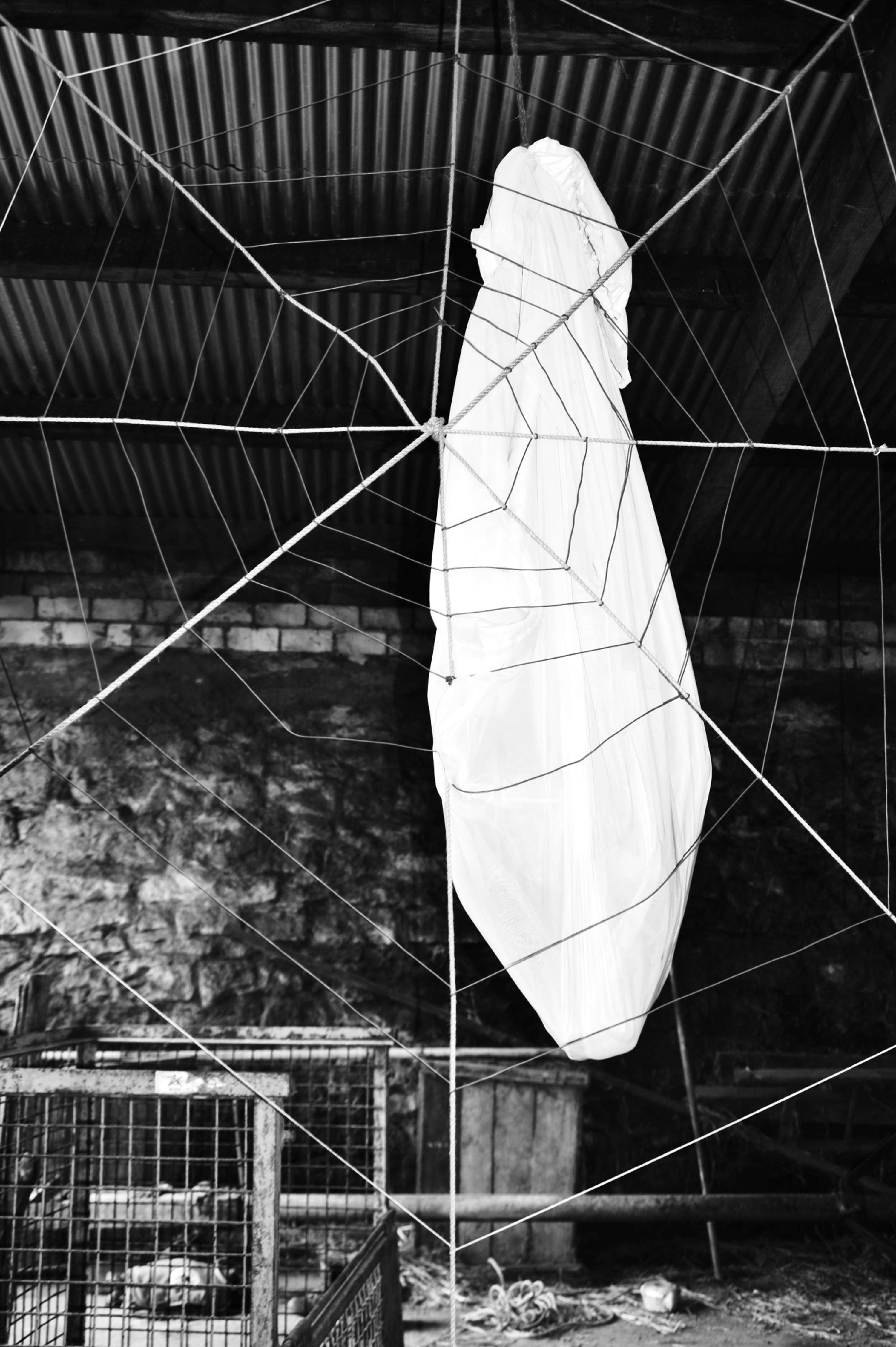 Kafkaesque or The Birth of Modernity by Jenny Bär-Keita