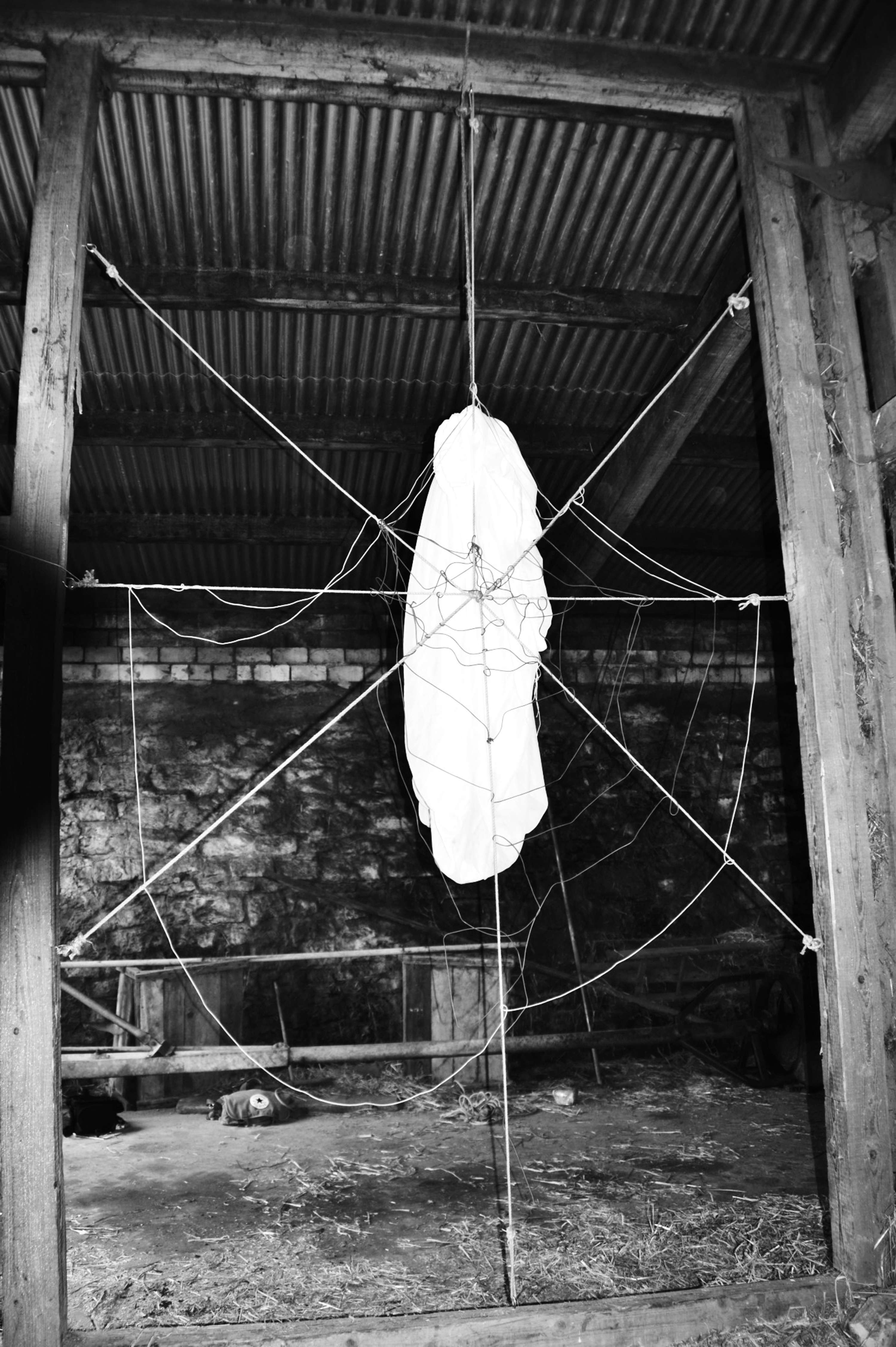 Kafkaesque or The Birth of Modernity by Jenny Bär-Keita