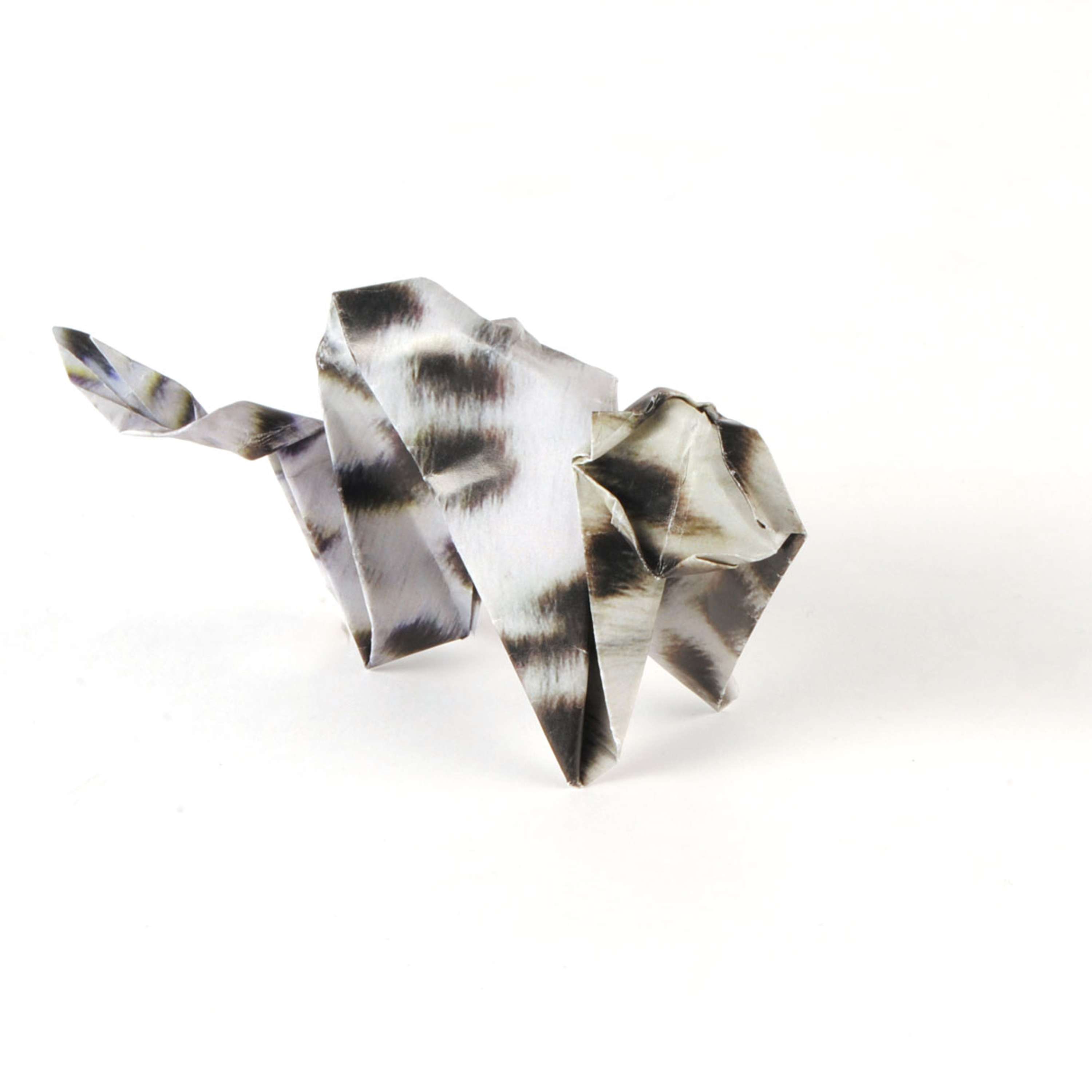 Quagga by Mollie Howells