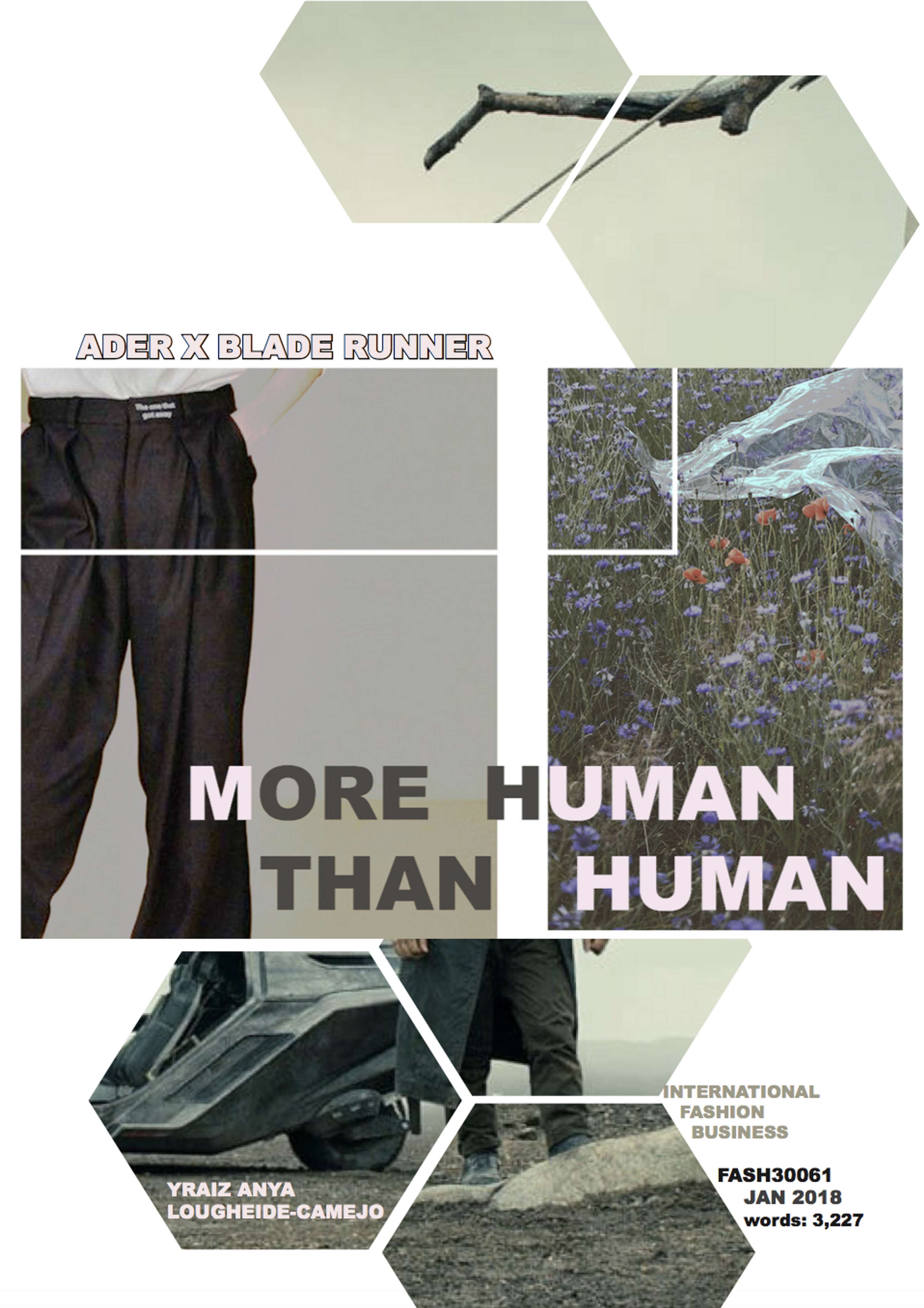 Marketing and Promotion Final Year Project - Ader x Blade Runner Marketing Proposal by Yra Lougheide-Camejo