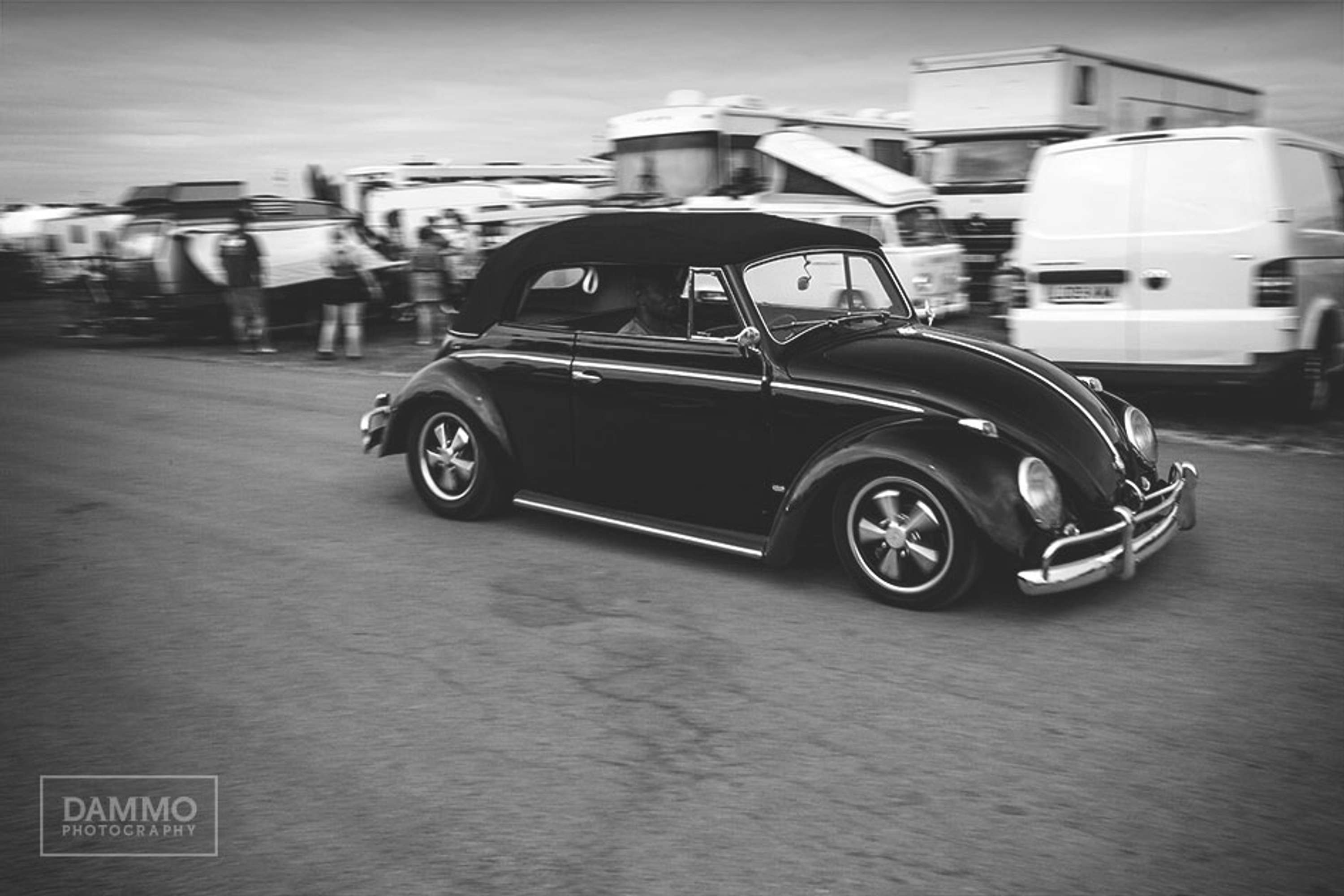 Bug Jam 32 by David Clarke