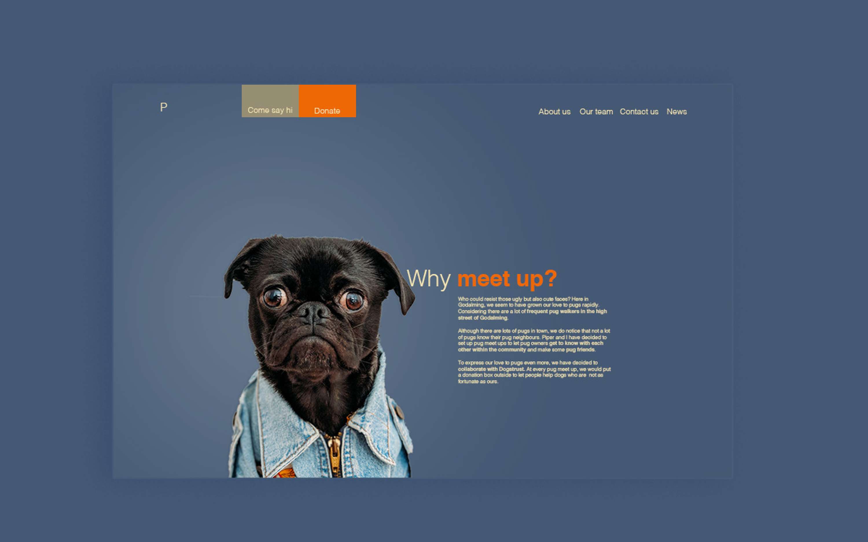 Pug party Godalming by Kelly Yiu