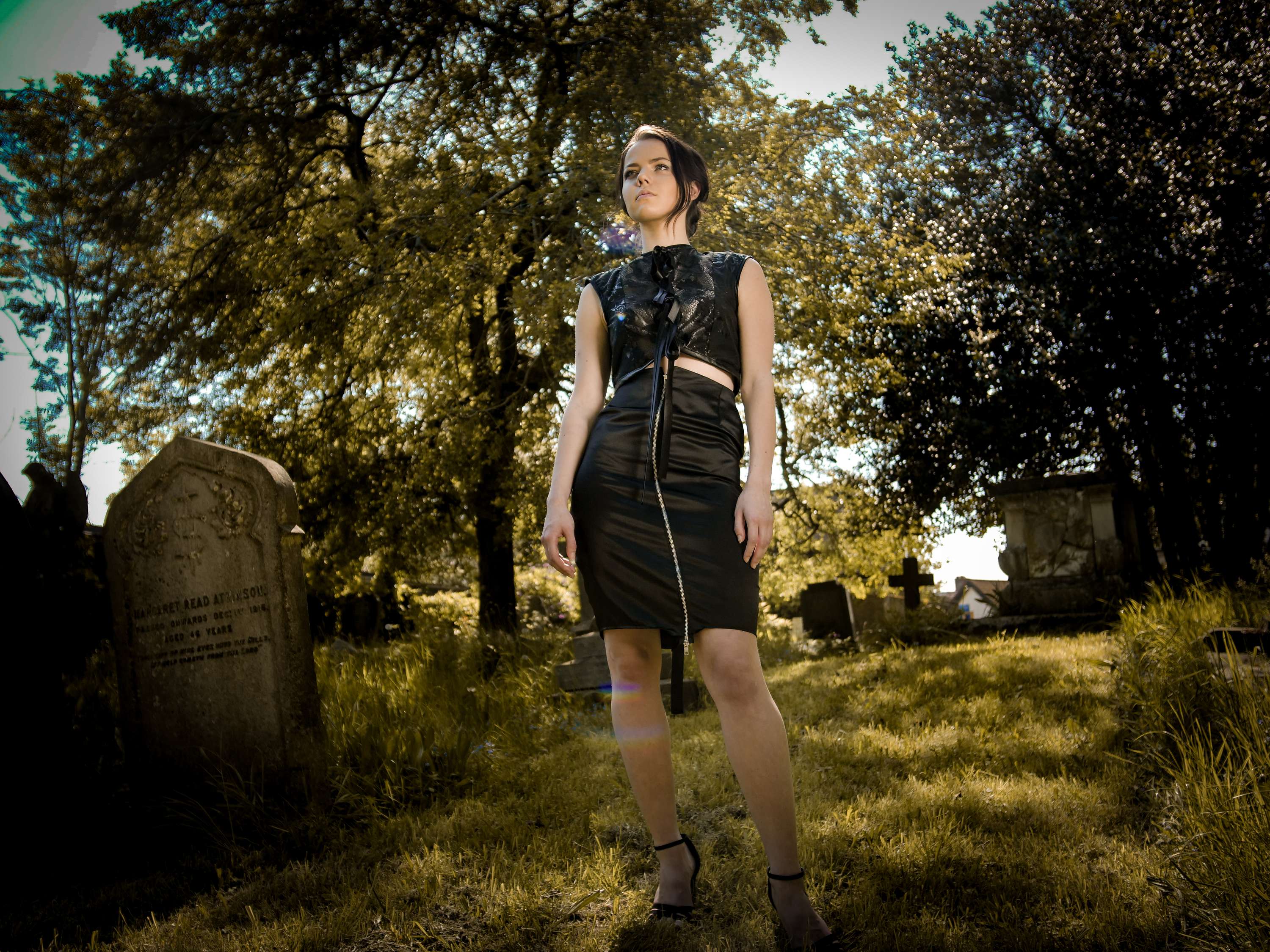 Graveyard Series by Michael Antonio Naylor