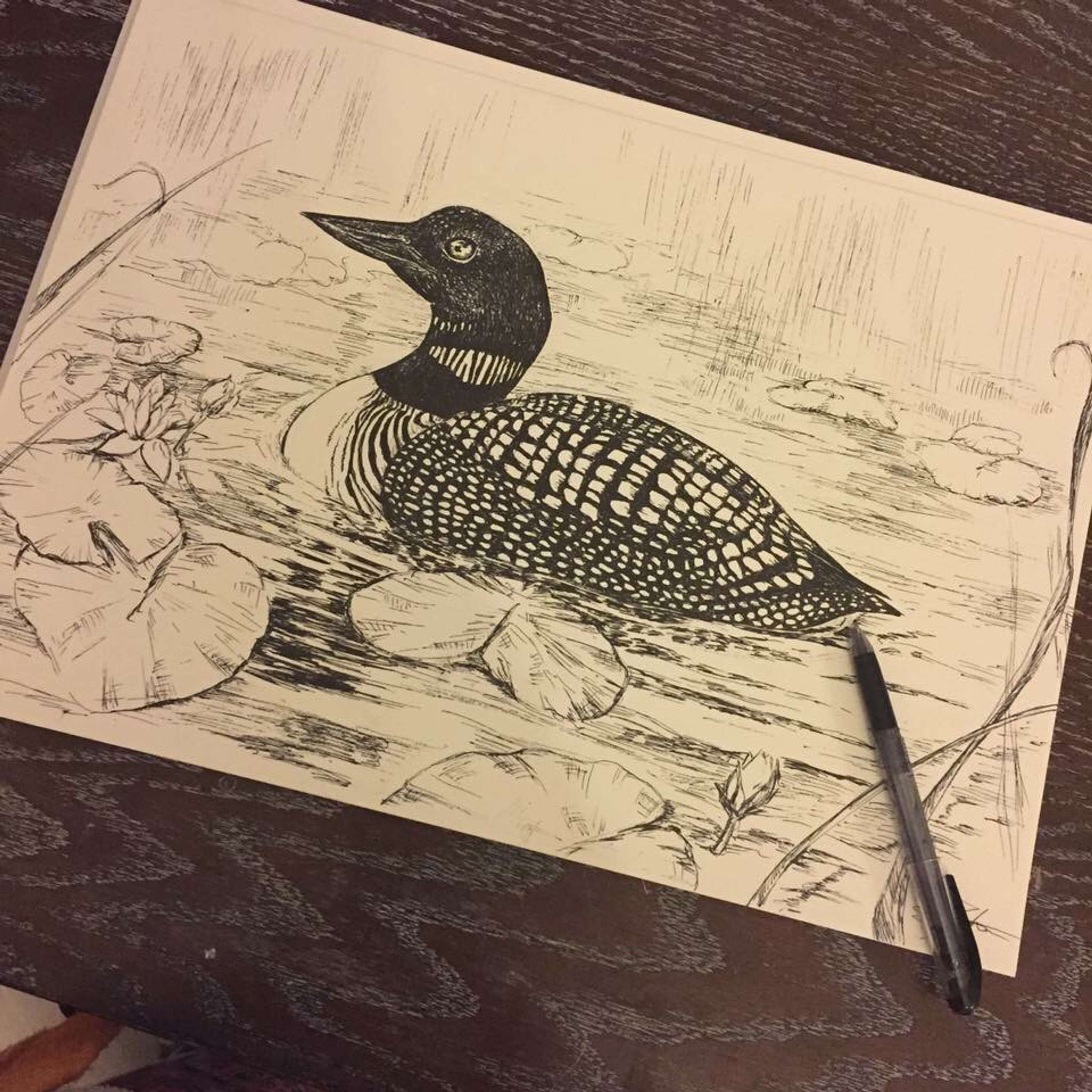 Bird Illustrations by Tasmin Torrington