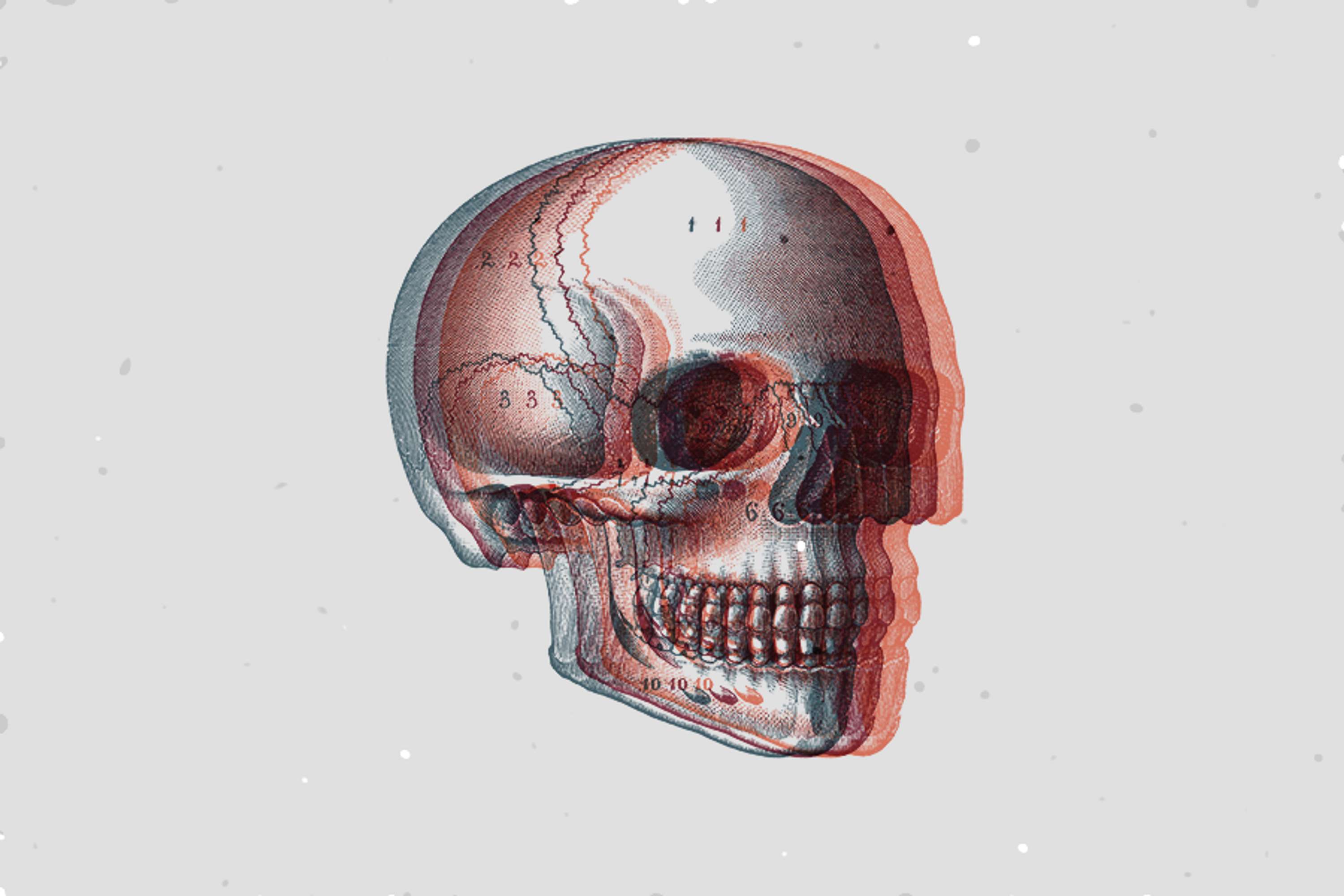 Sanity by Brita Lapatza