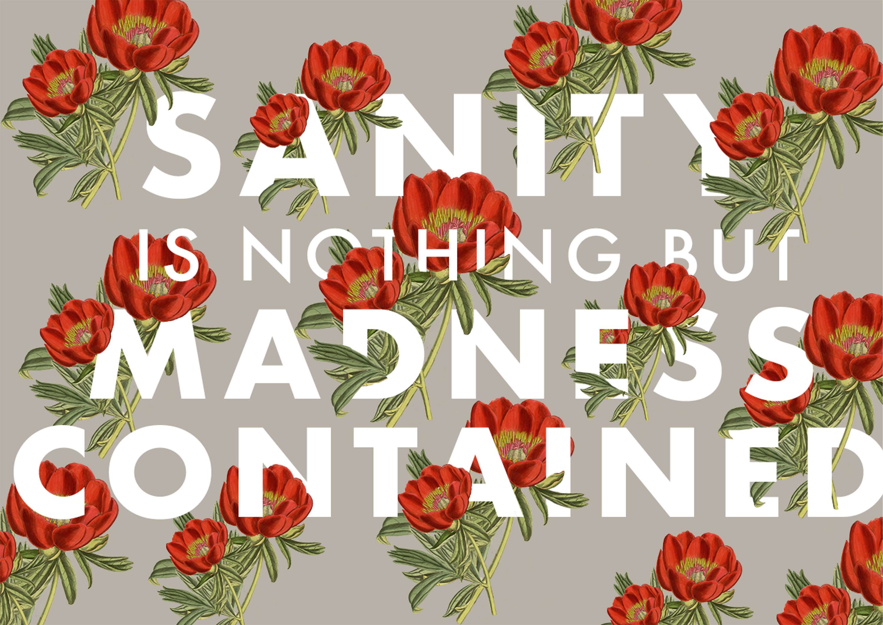 Sanity by Brita Lapatza