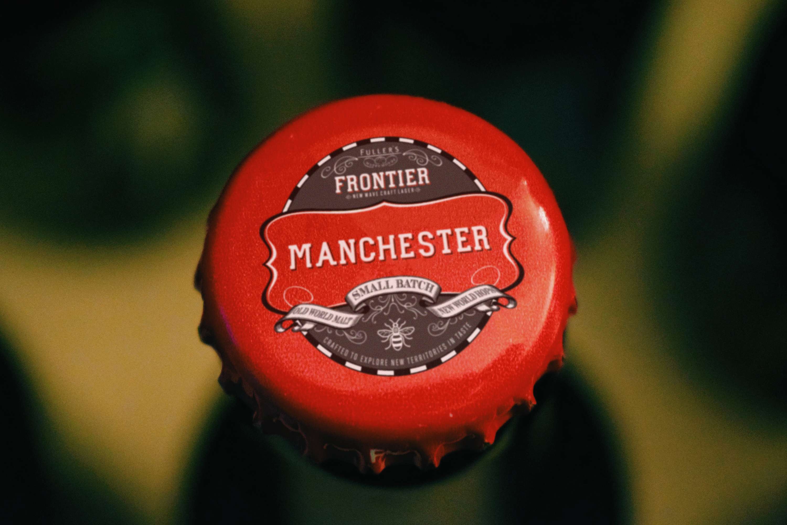 Introducing Frontier to the North by Isabel Major
