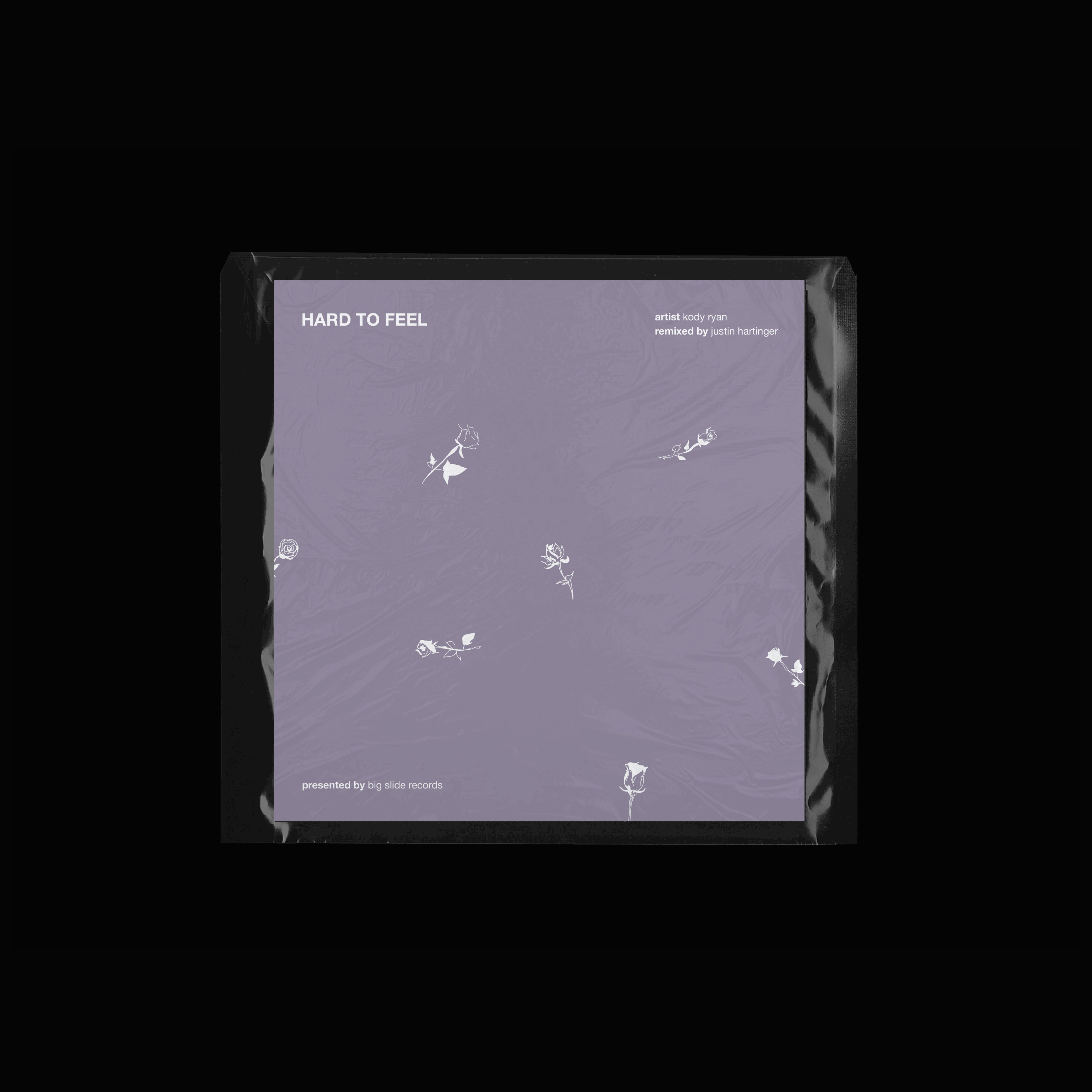 Big Slide Records by Clio Dill