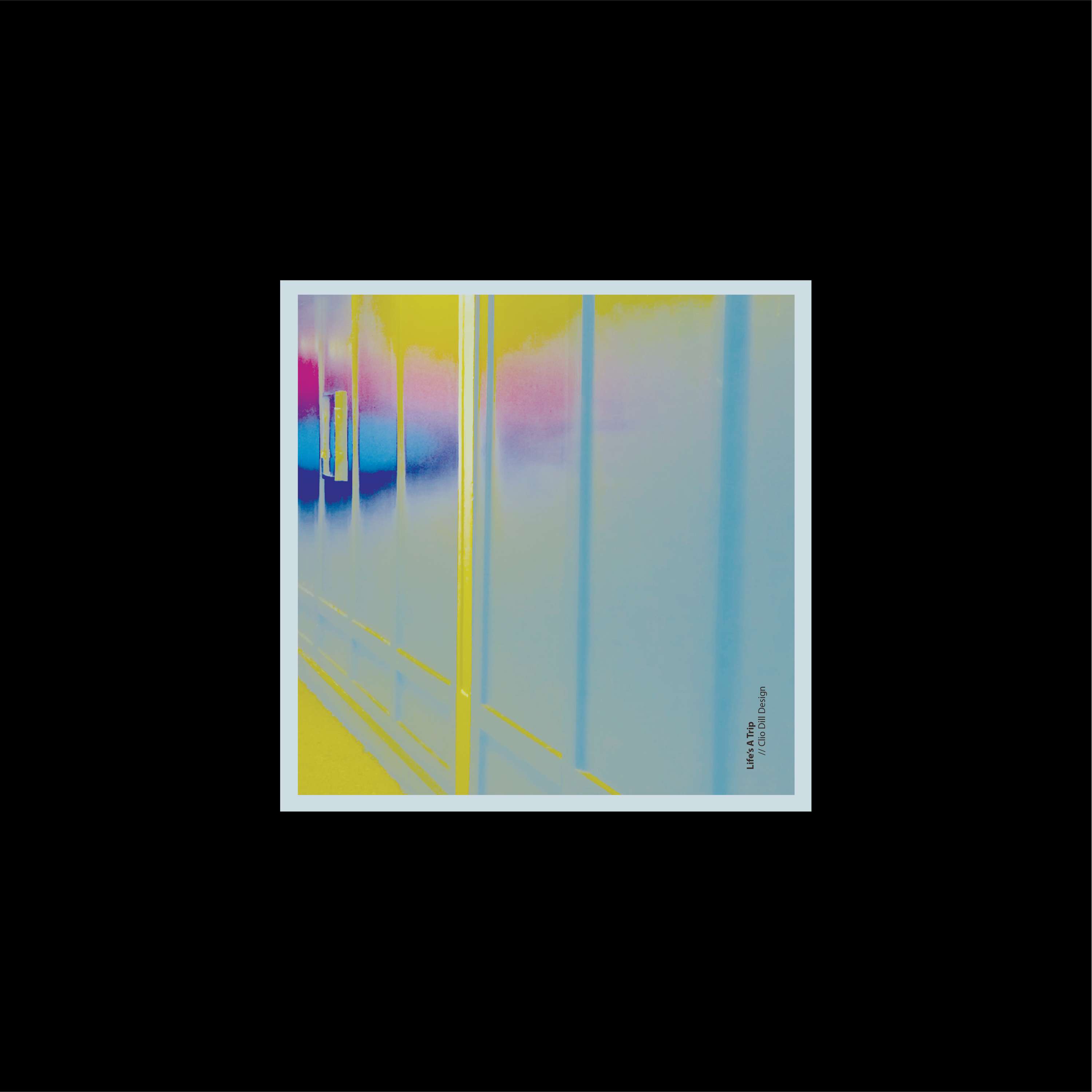 Big Slide Records by Clio Dill