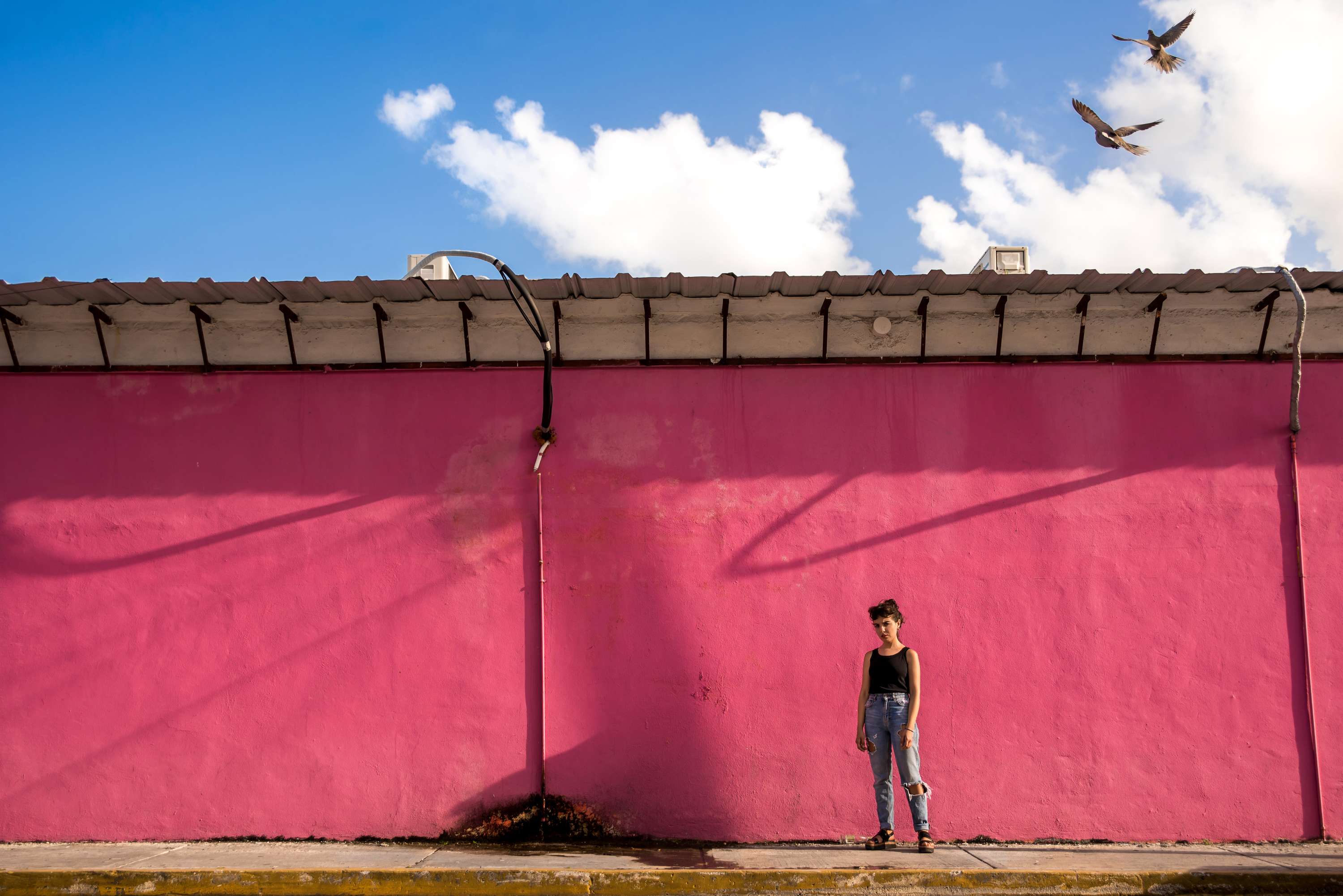 Fany Ledesma Series by Fernando Eede