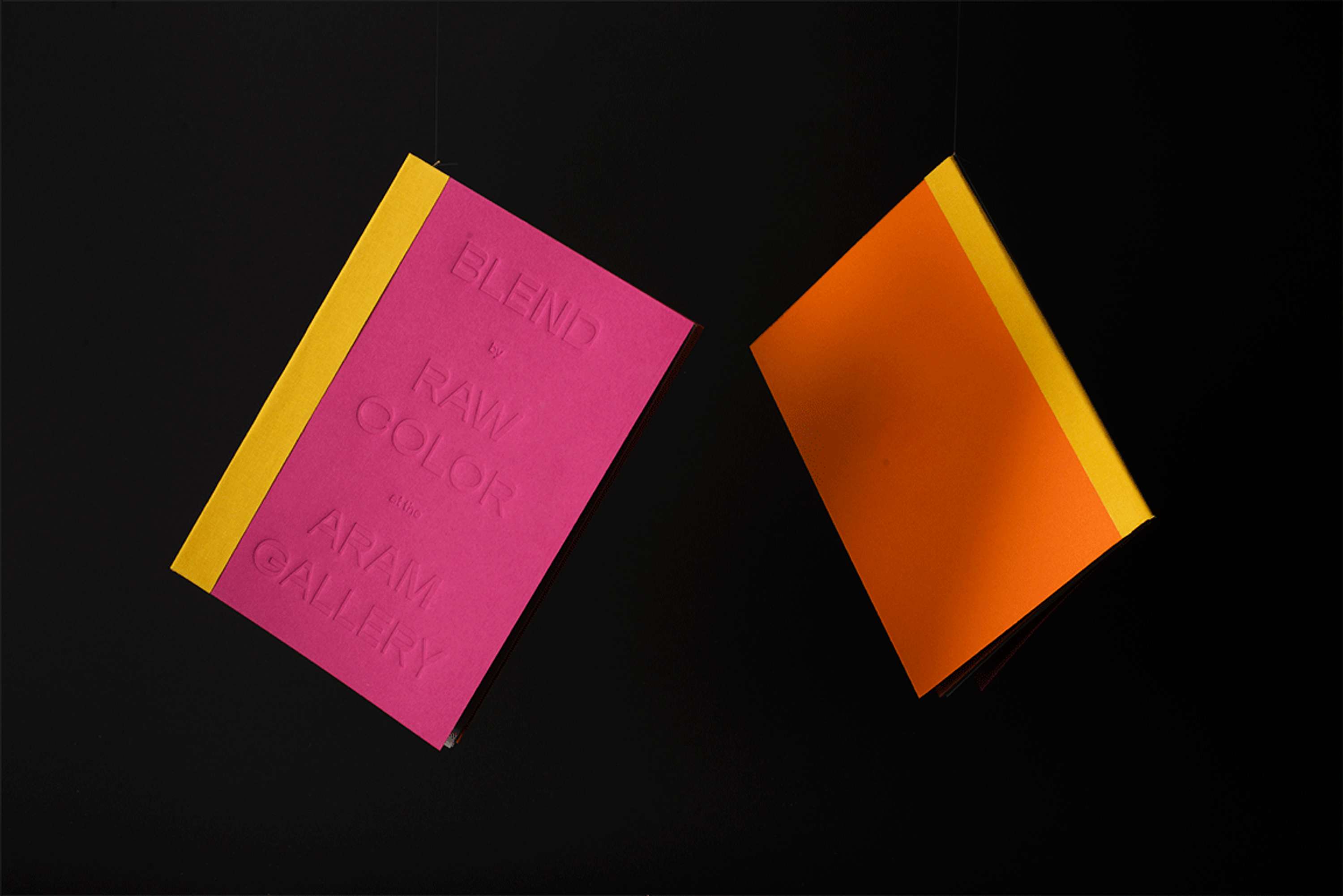 Raw Color by Carol Bergin