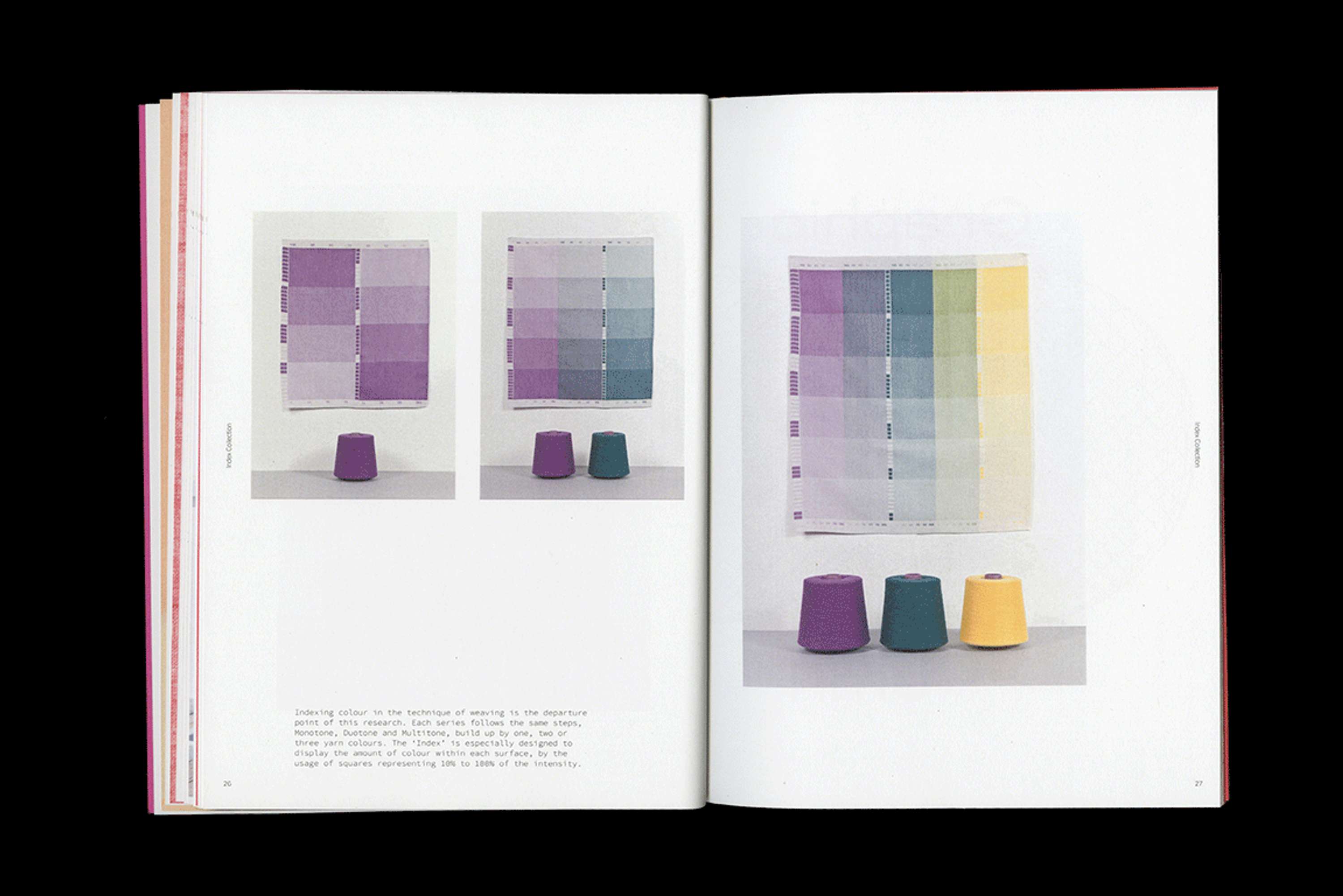 Raw Color by Carol Bergin