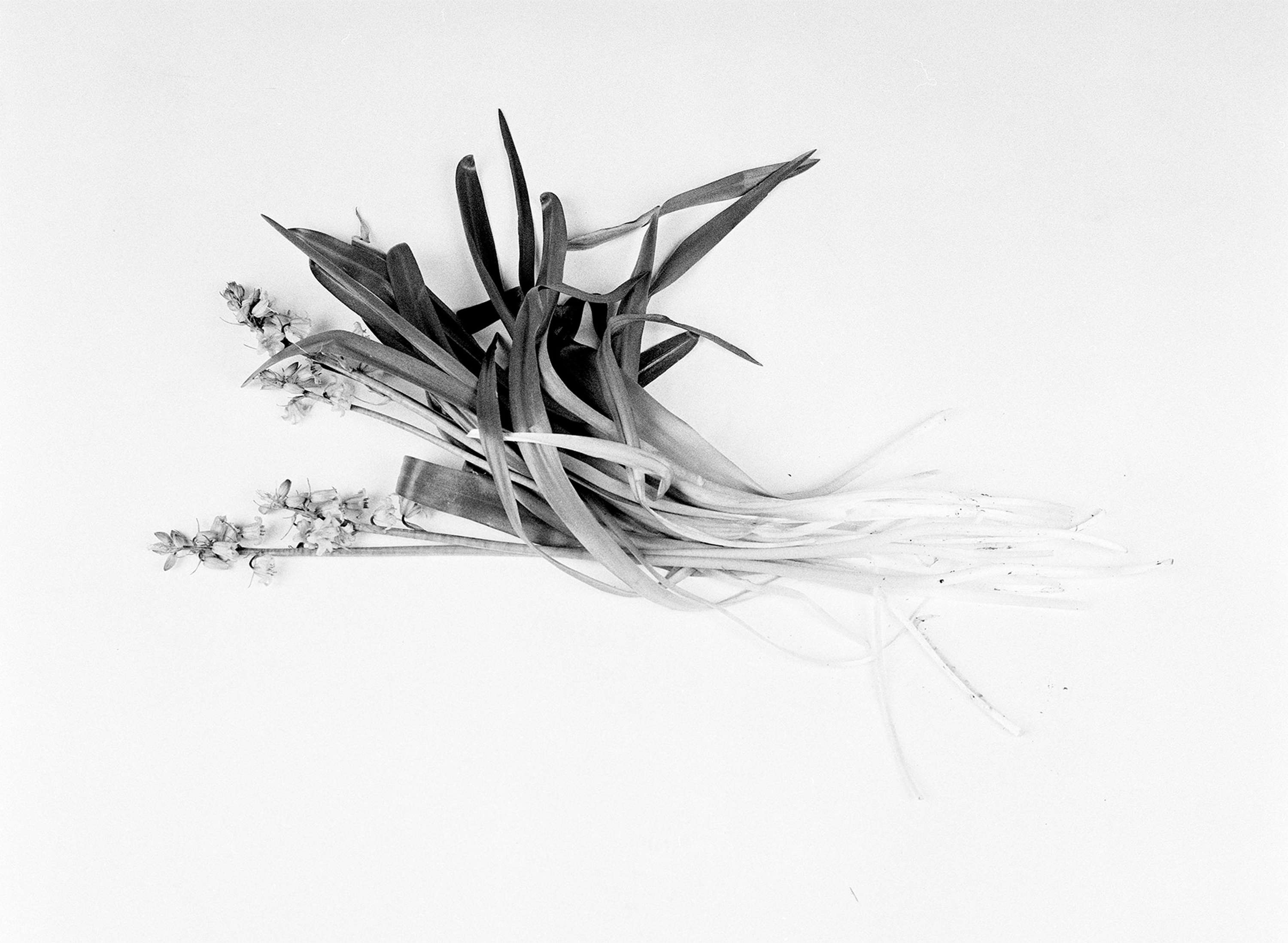 Within and Without by Lucy Hawthorne