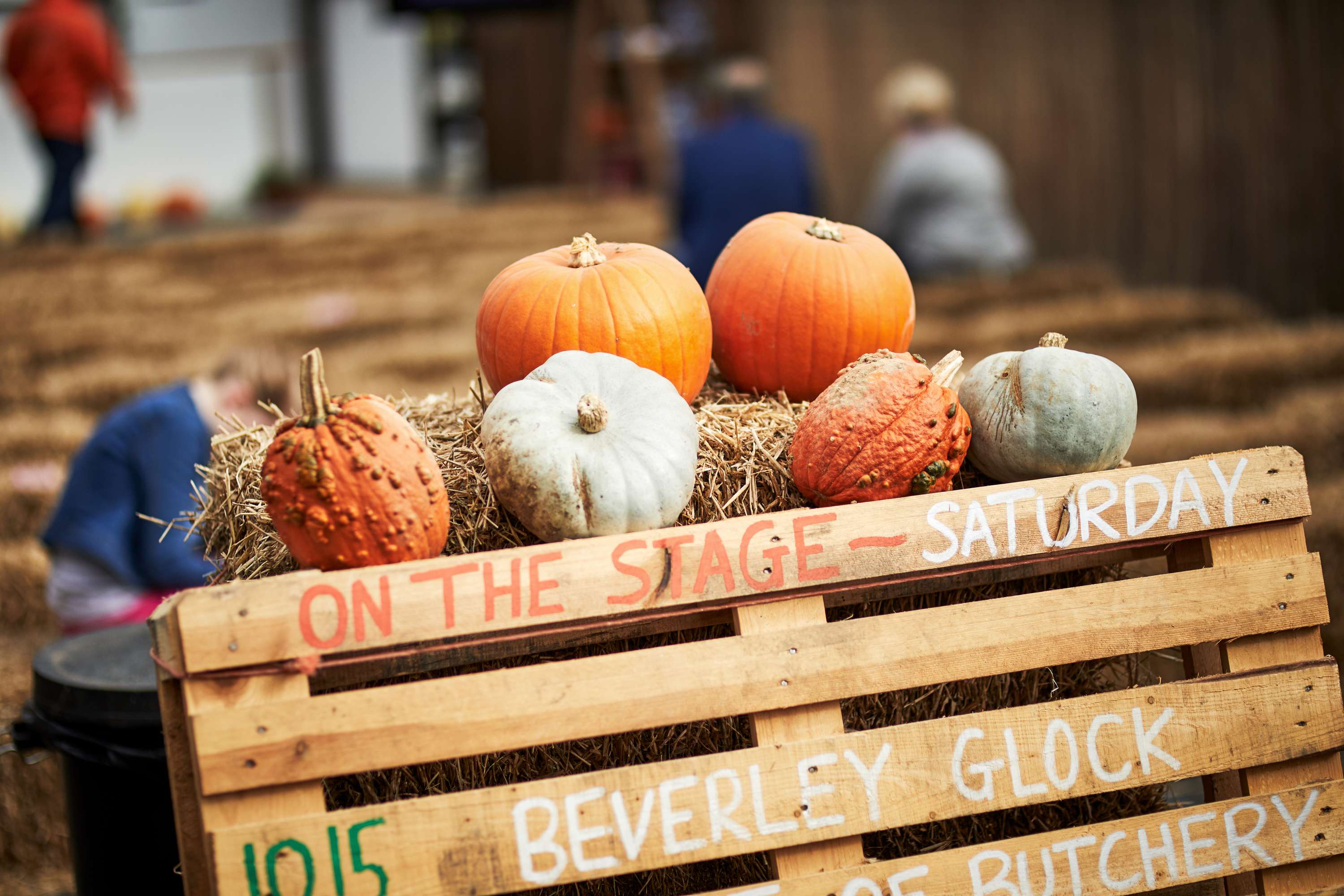Feast on the Farm 2017 by Nadra Shah