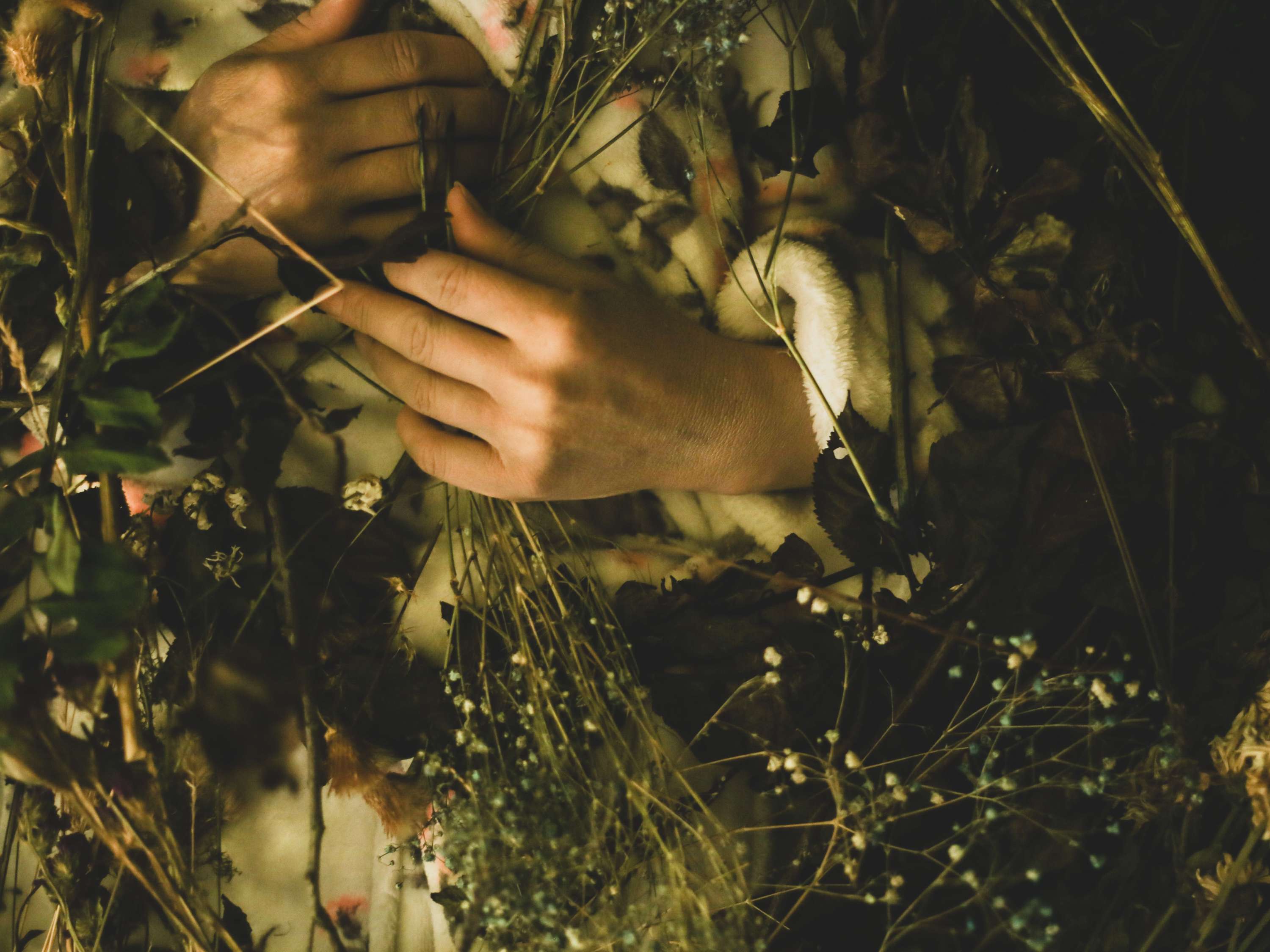 Kindling by Emma Catalfamo