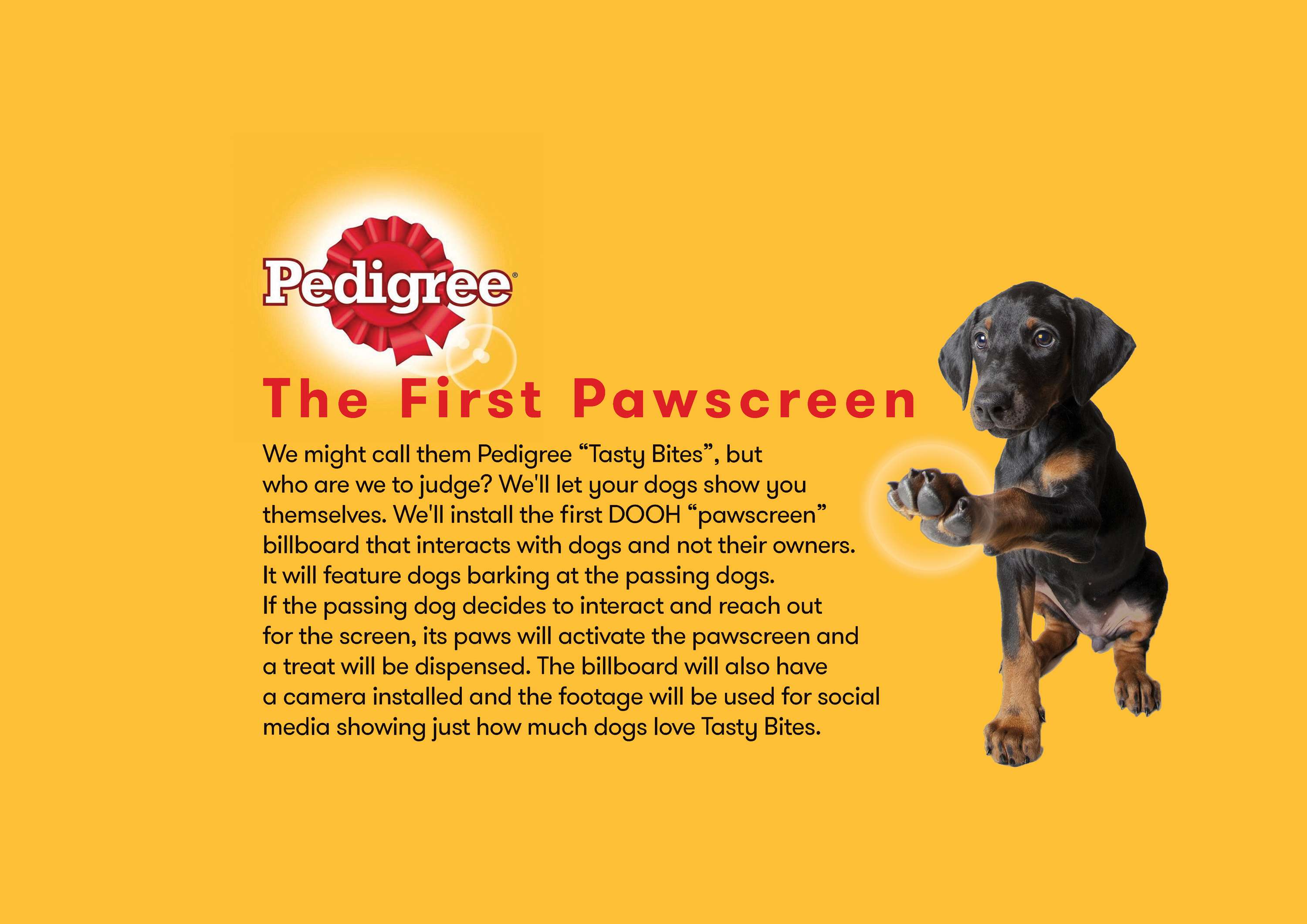 The first pawscreen — Pedigree by Krista+Mona