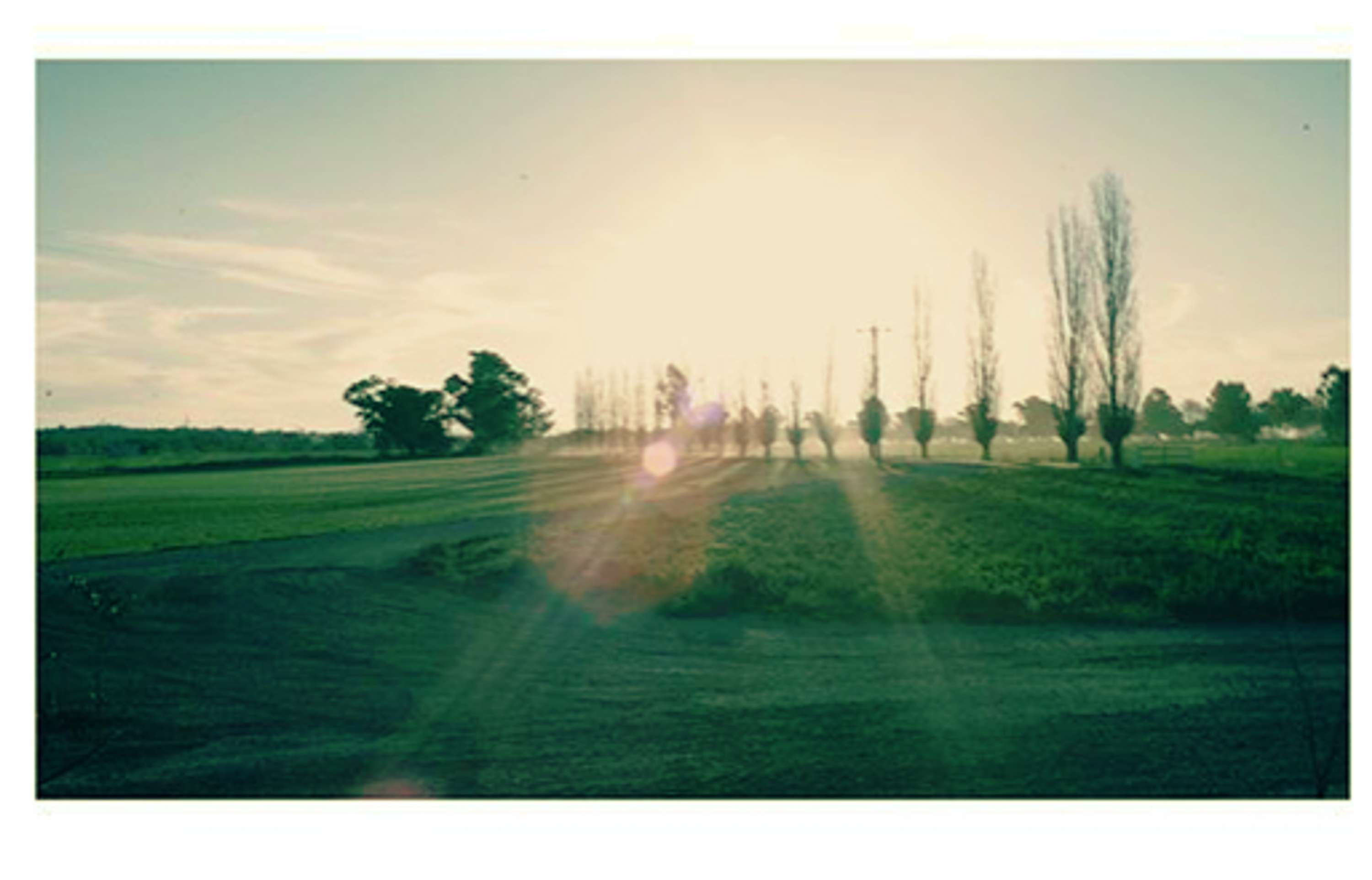 Iphoneography by Francesca Romana Zerenghi