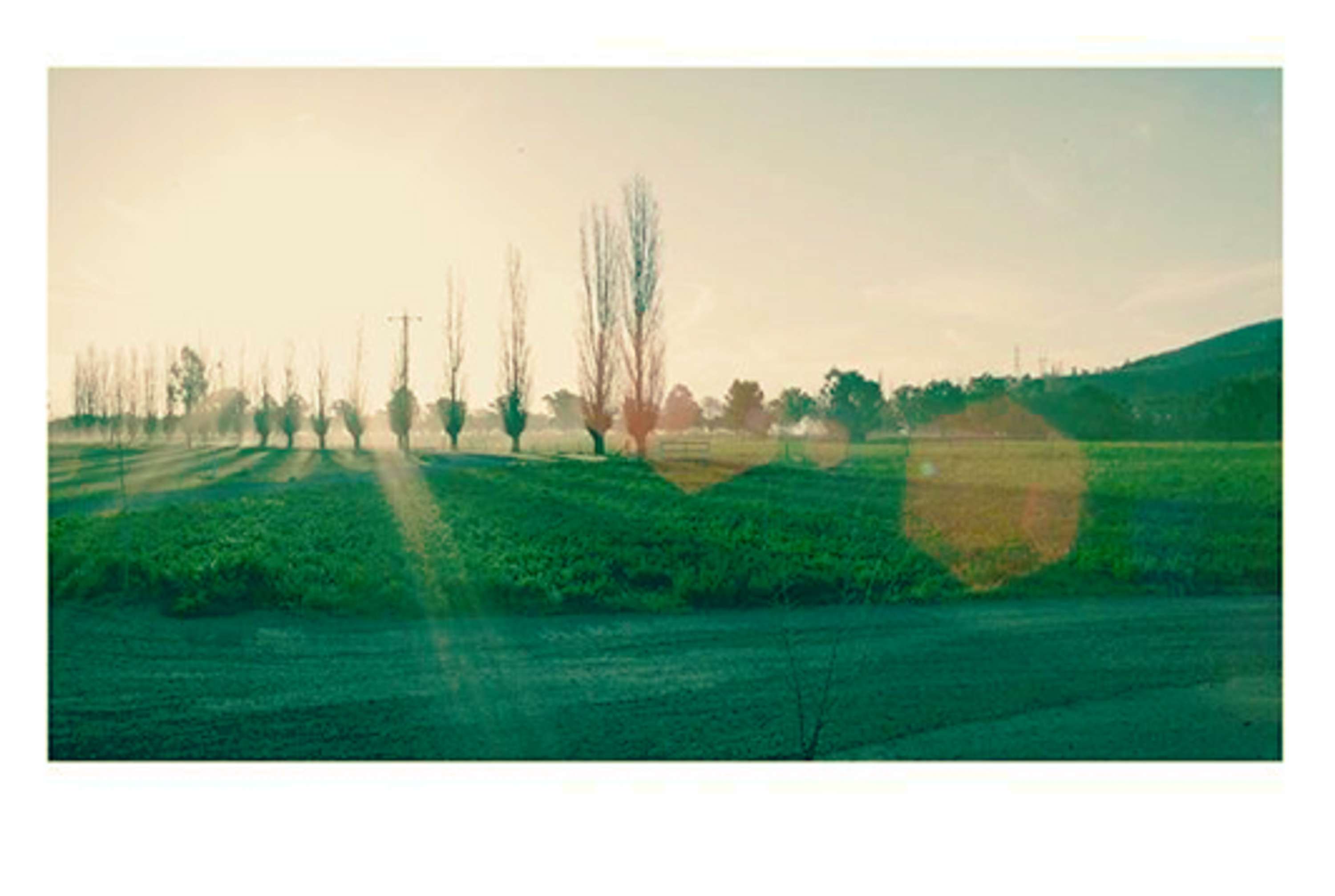 Iphoneography by Francesca Romana Zerenghi