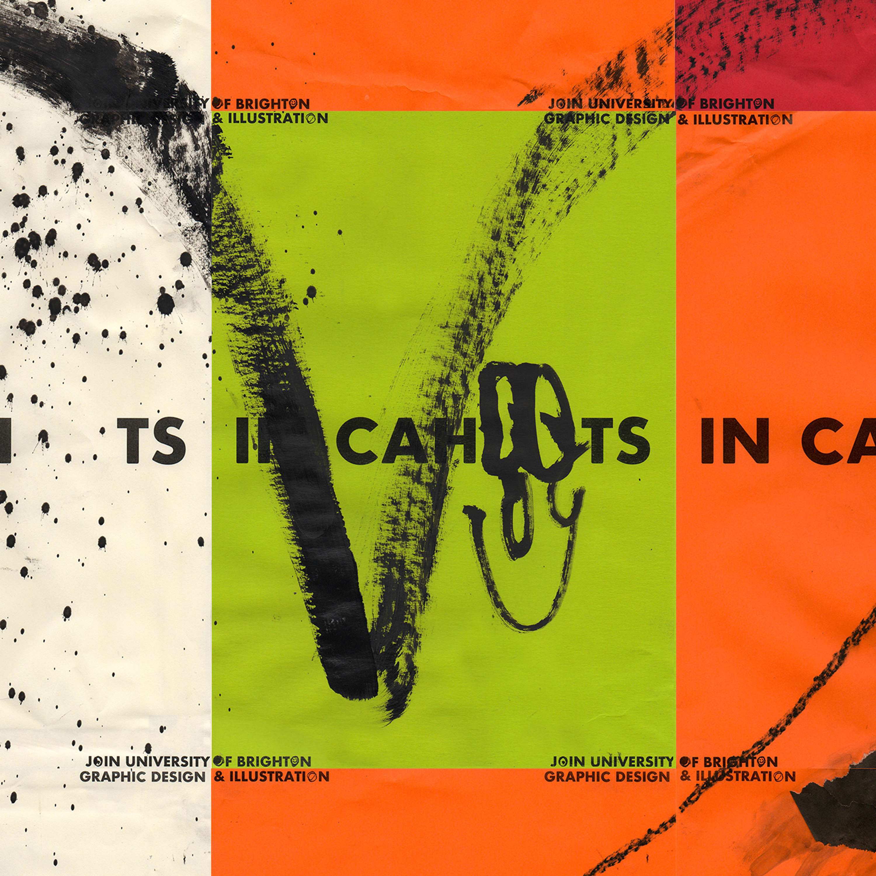 In Cahoots Identity by Charley Ray