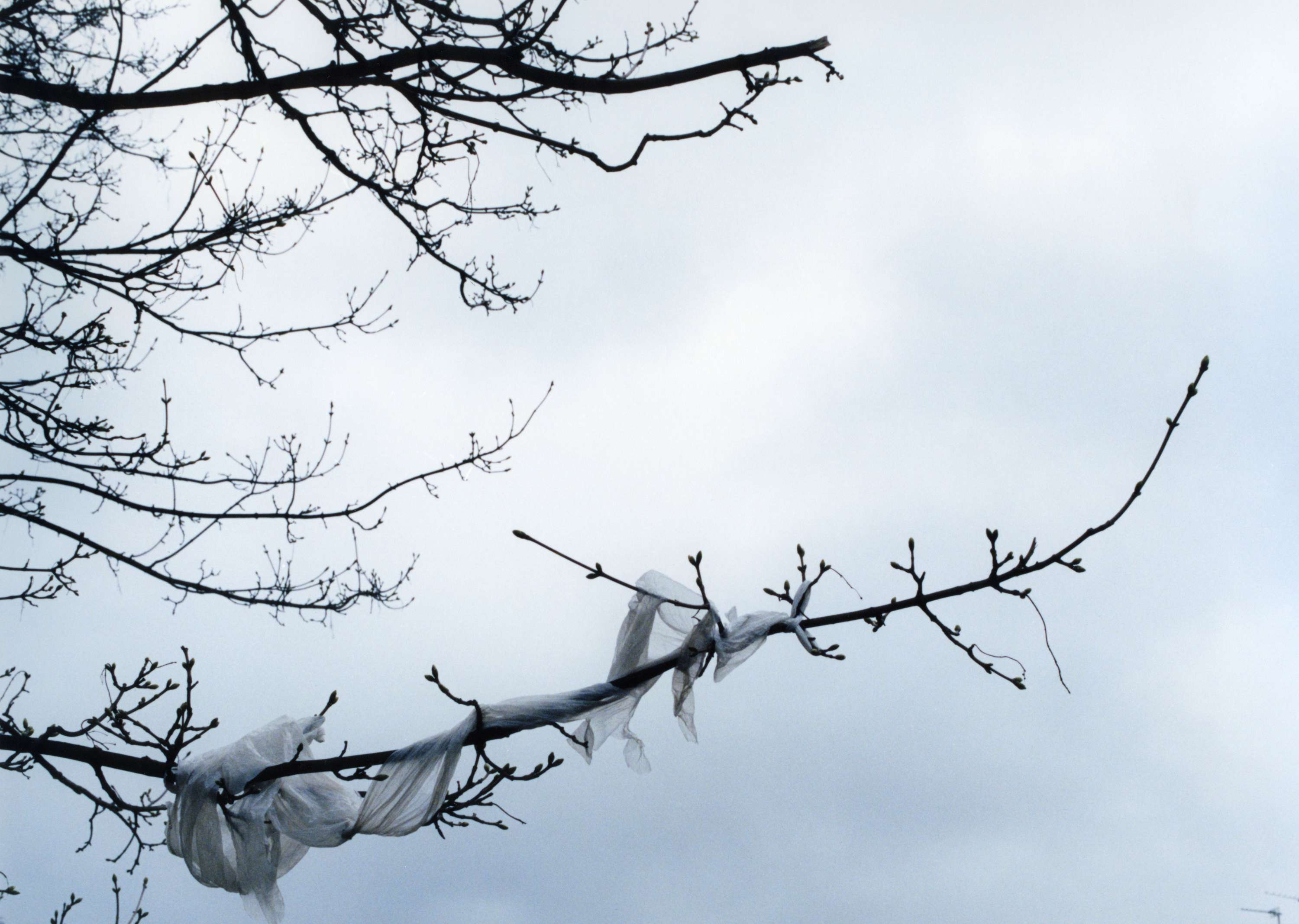 When The Time’s Right by Hannah Clark