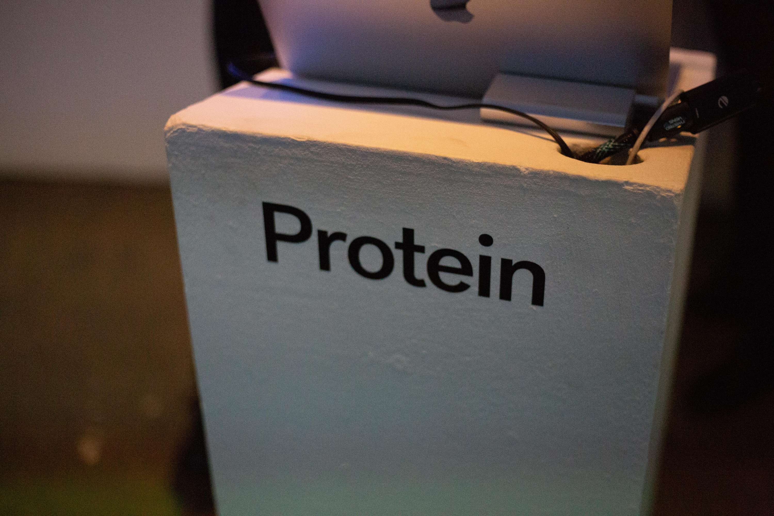 The Rules of Growth by Protein