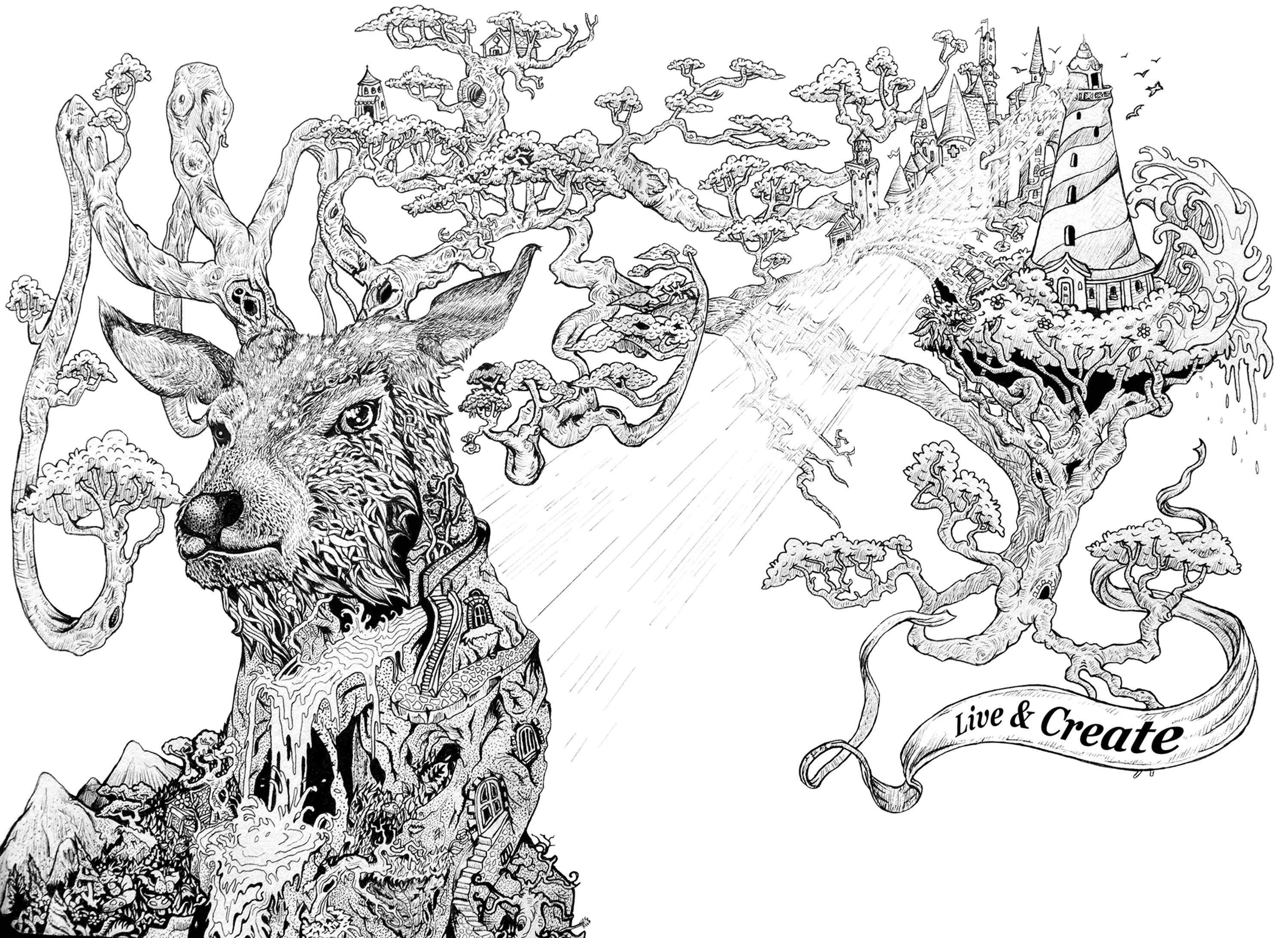 Live and Create Ink Drawing by Nick Jevons