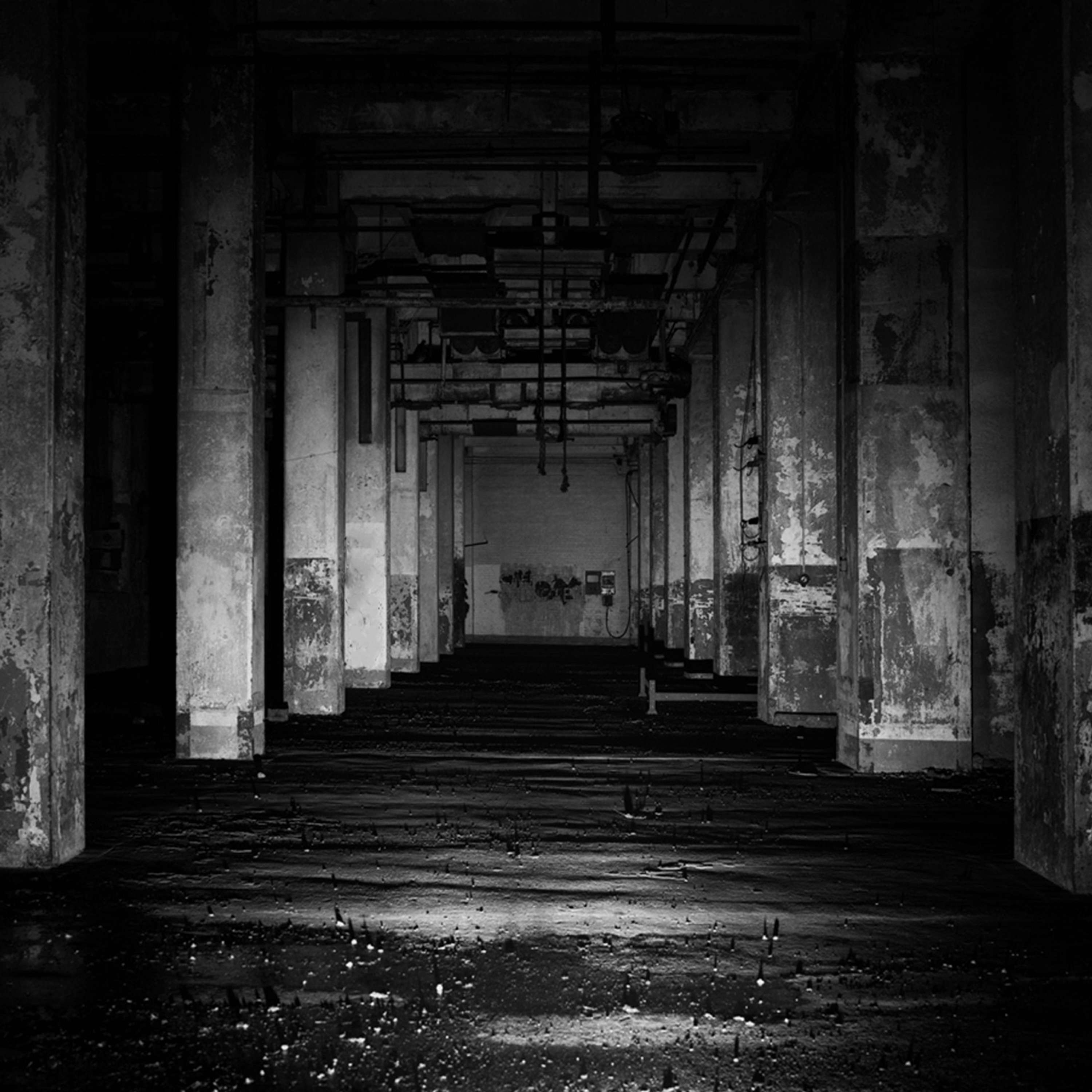 EXP by Sebastian Kite