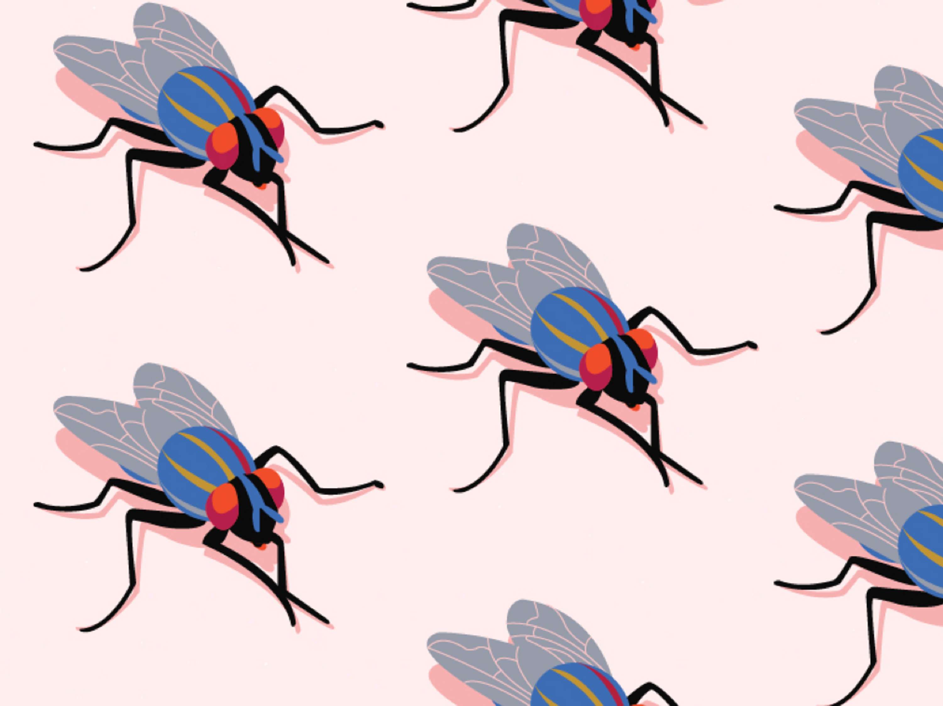 Flies by Bárbara Martínez Calvo