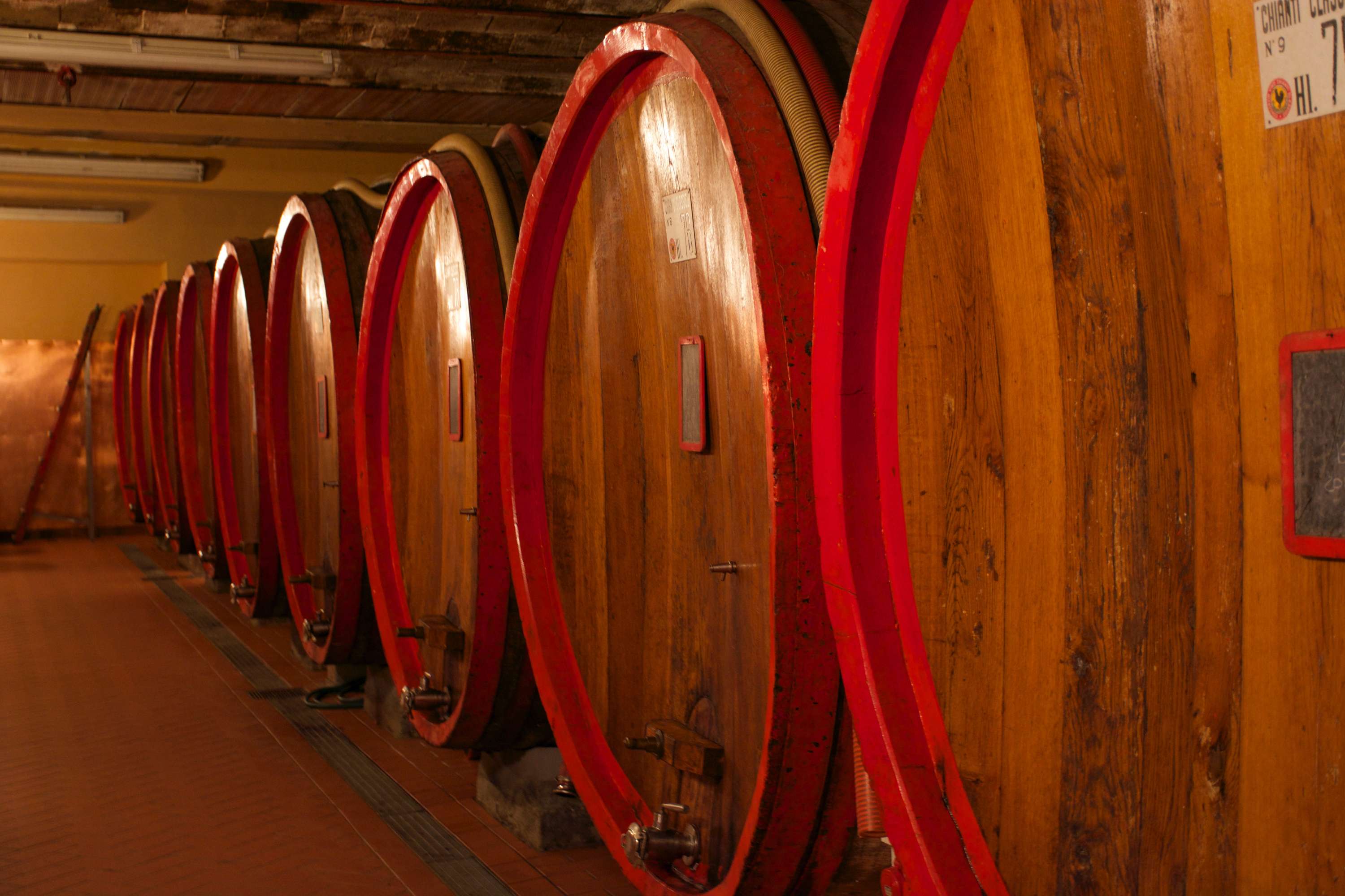 WineCard by Aleksandr Danilov