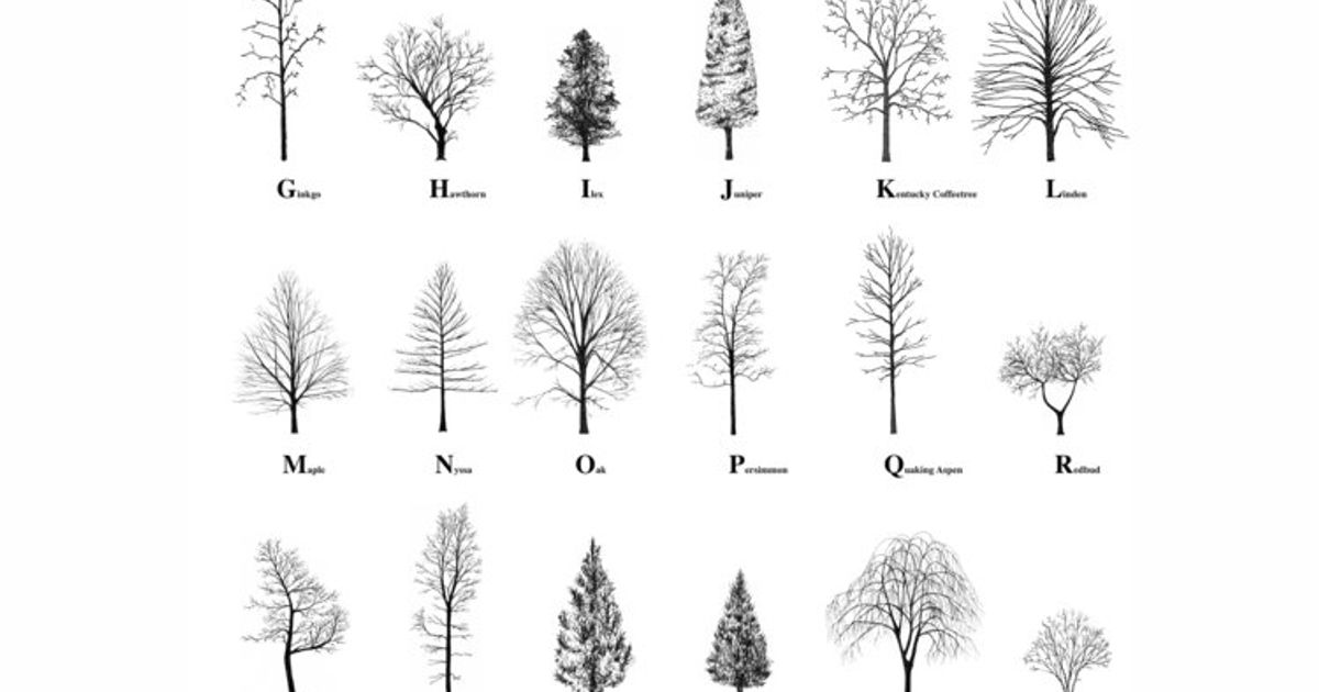 New York City Tree Alphabet | The Dots