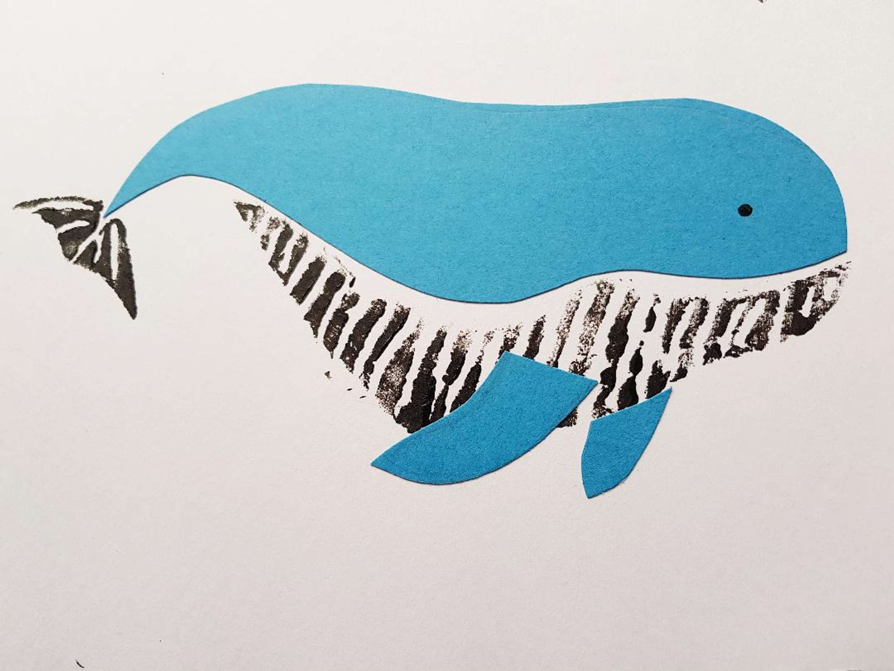 Visual Studies by Rebecca Gennard