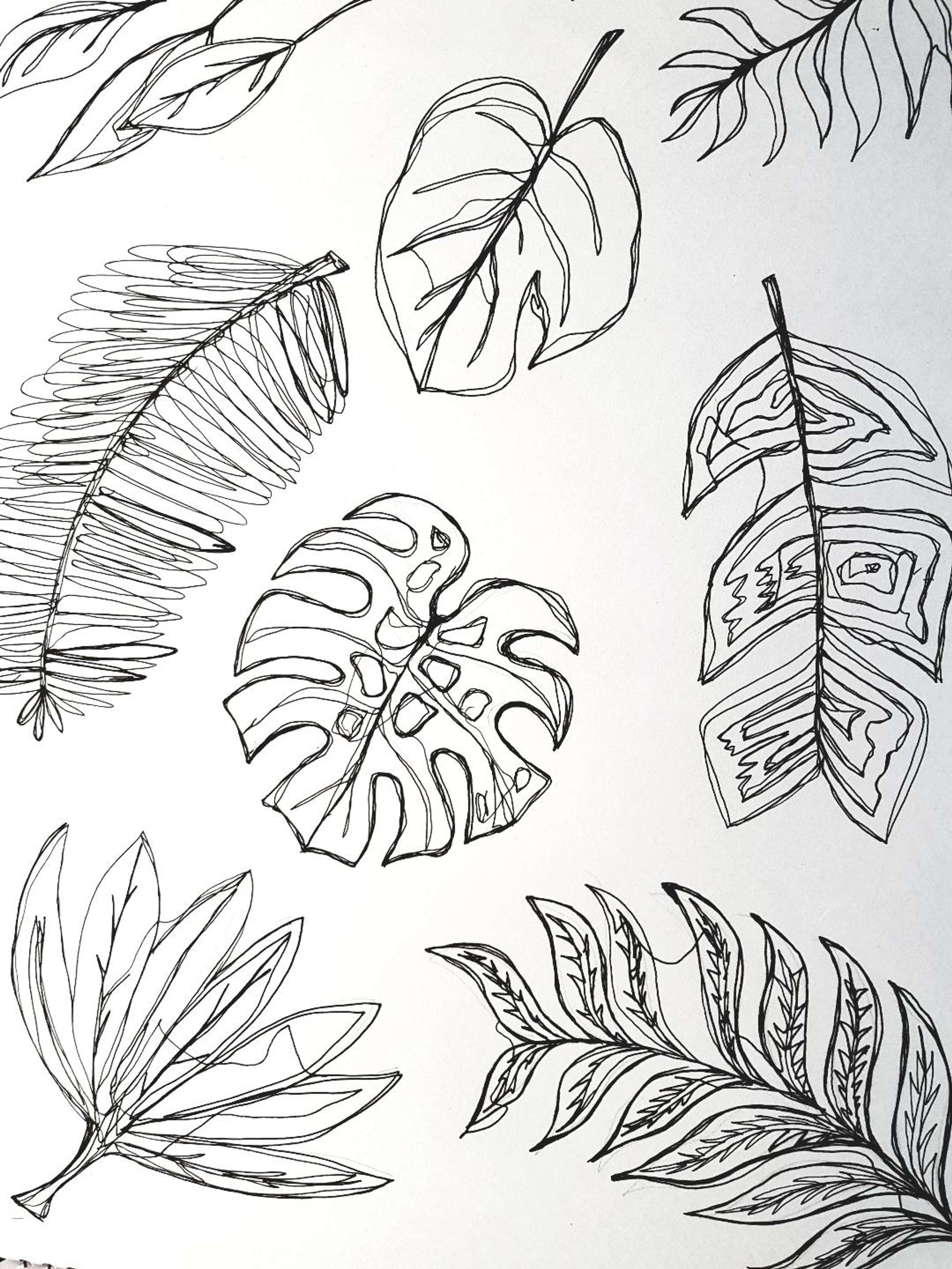 Visual Studies by Rebecca Gennard