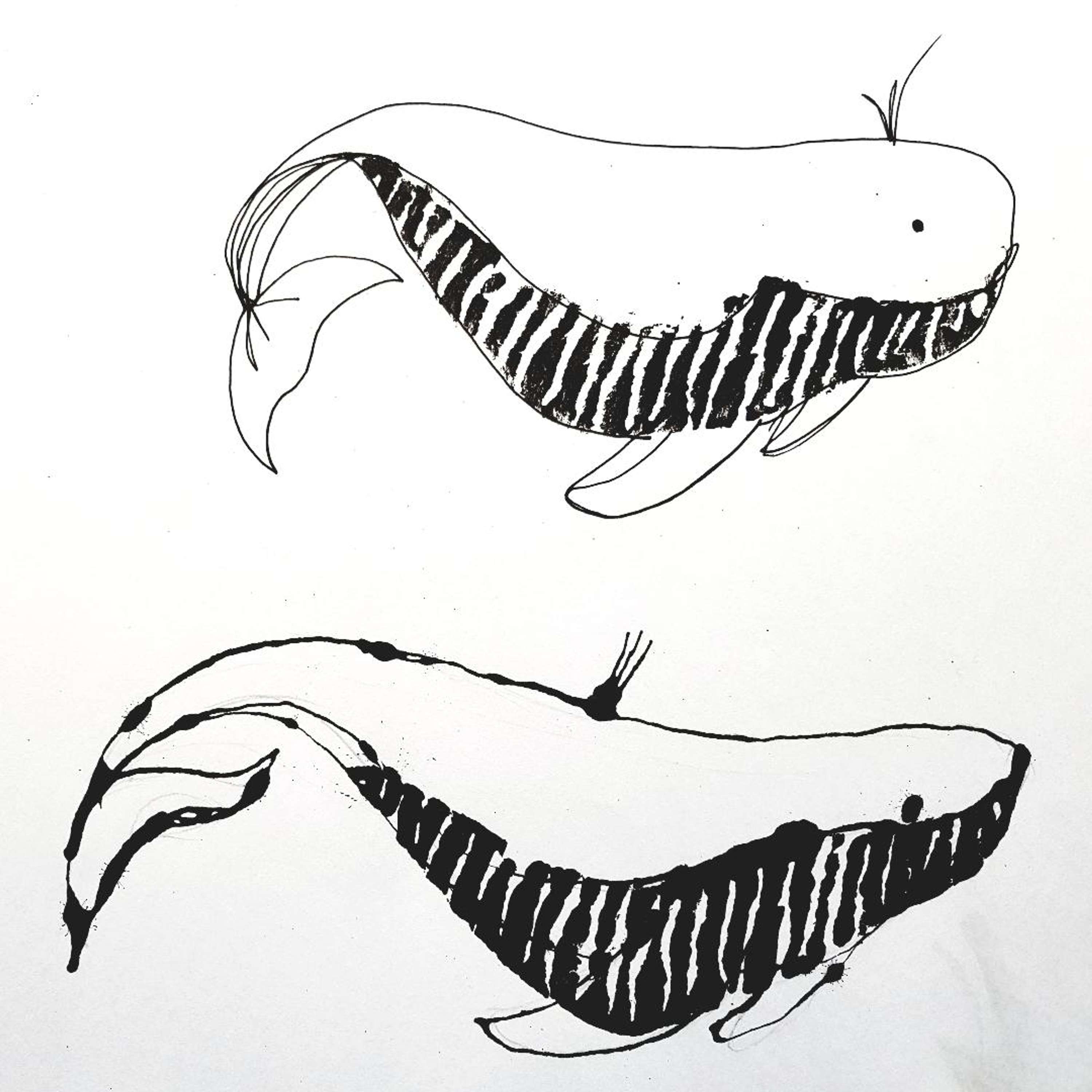 Visual Studies by Rebecca Gennard