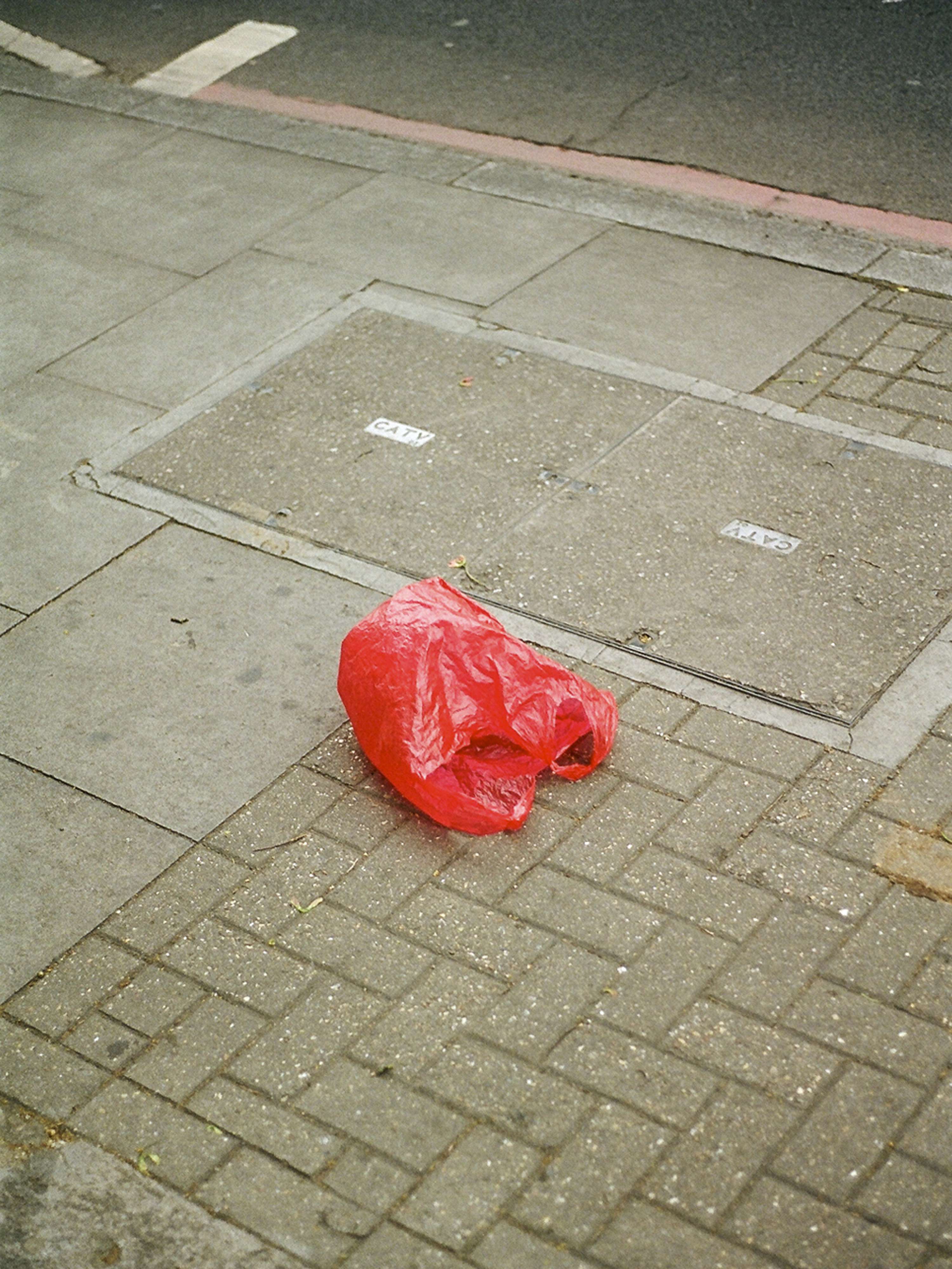 The Red Project by Toni Caroline