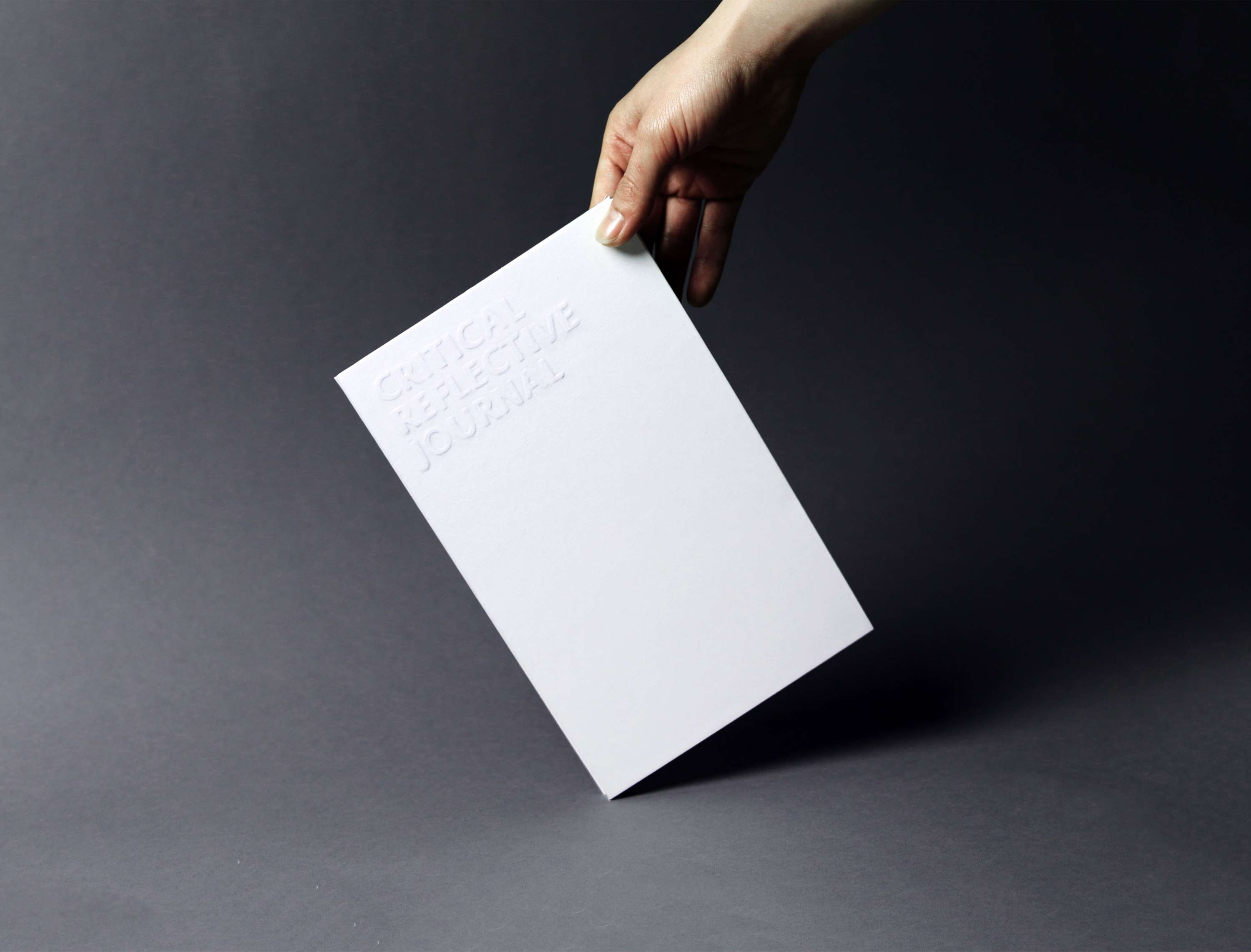 Project Journal Editorial II by Longbin Li