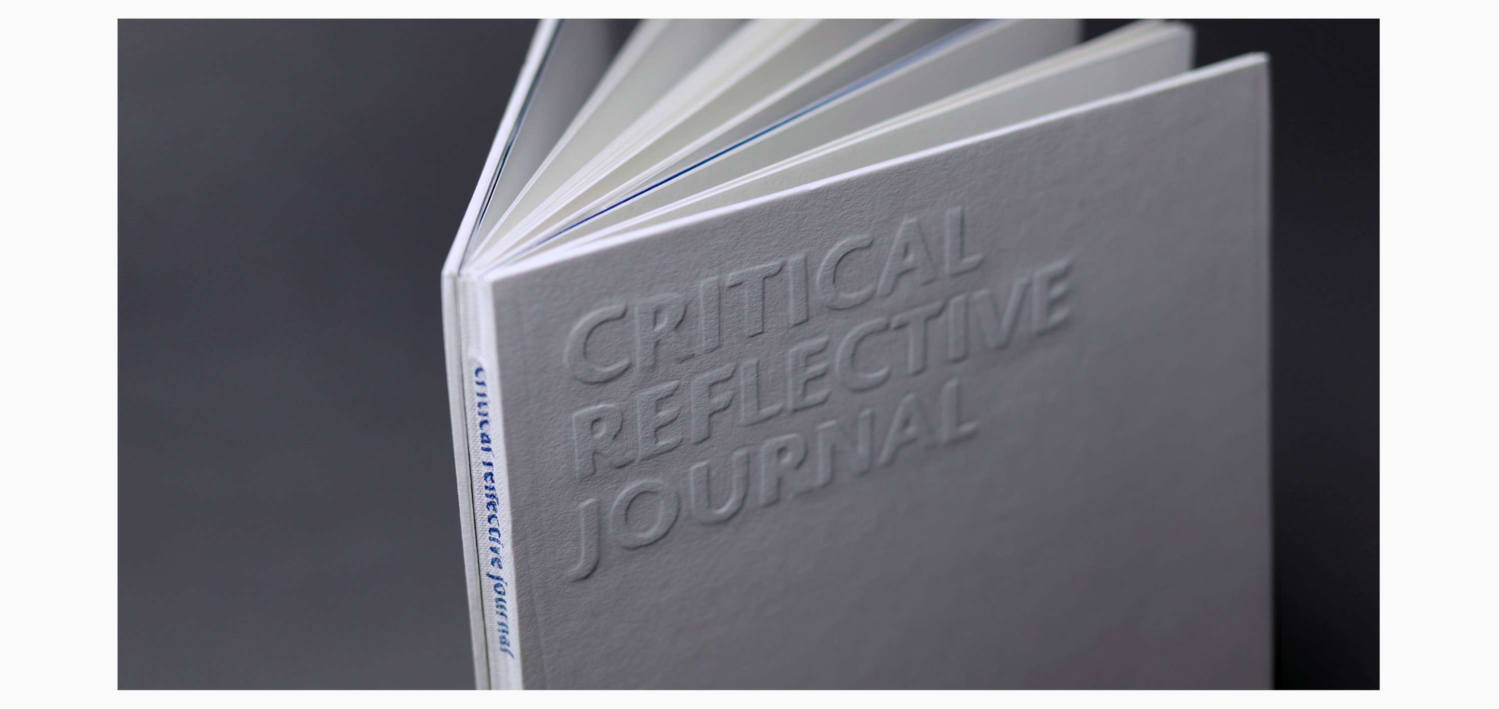 Project Journal Editorial II by Longbin Li